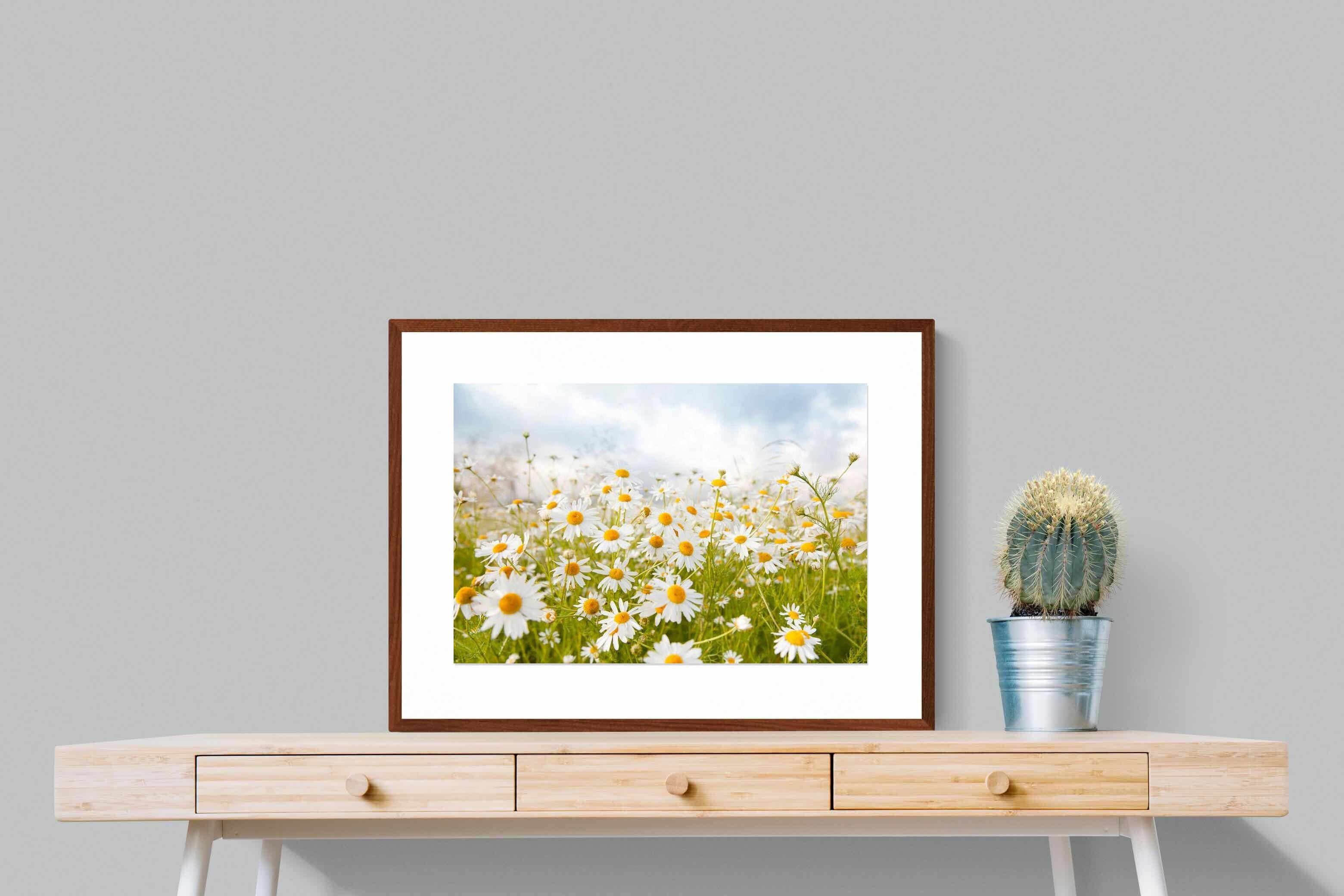 Pixalot ® Daisies