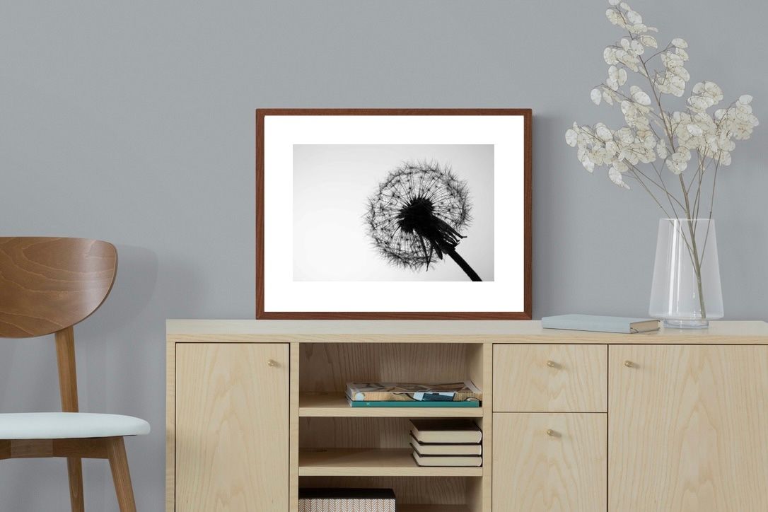 Pixalot ® Dandelion