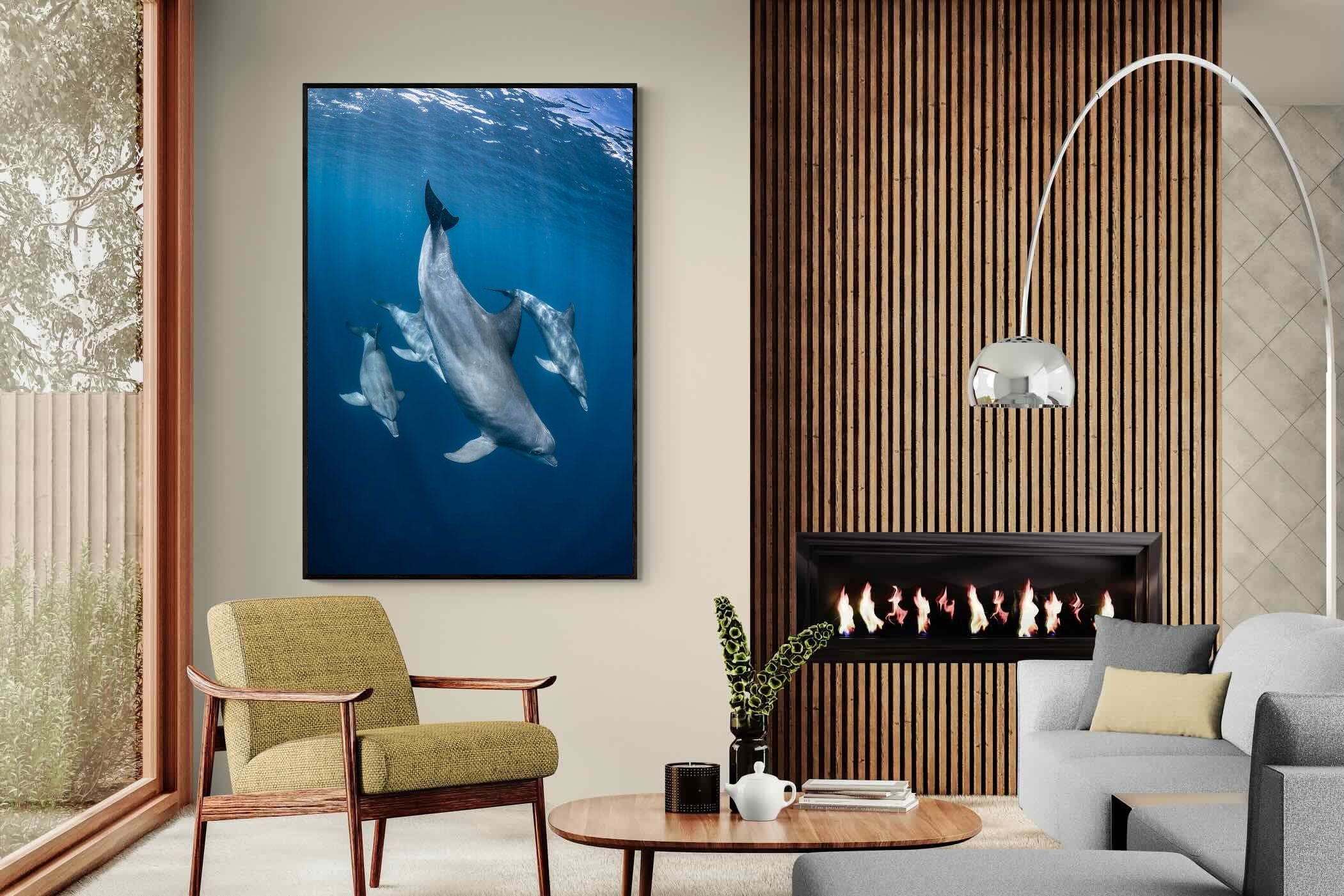 Pixalot ® Diving Dolphins