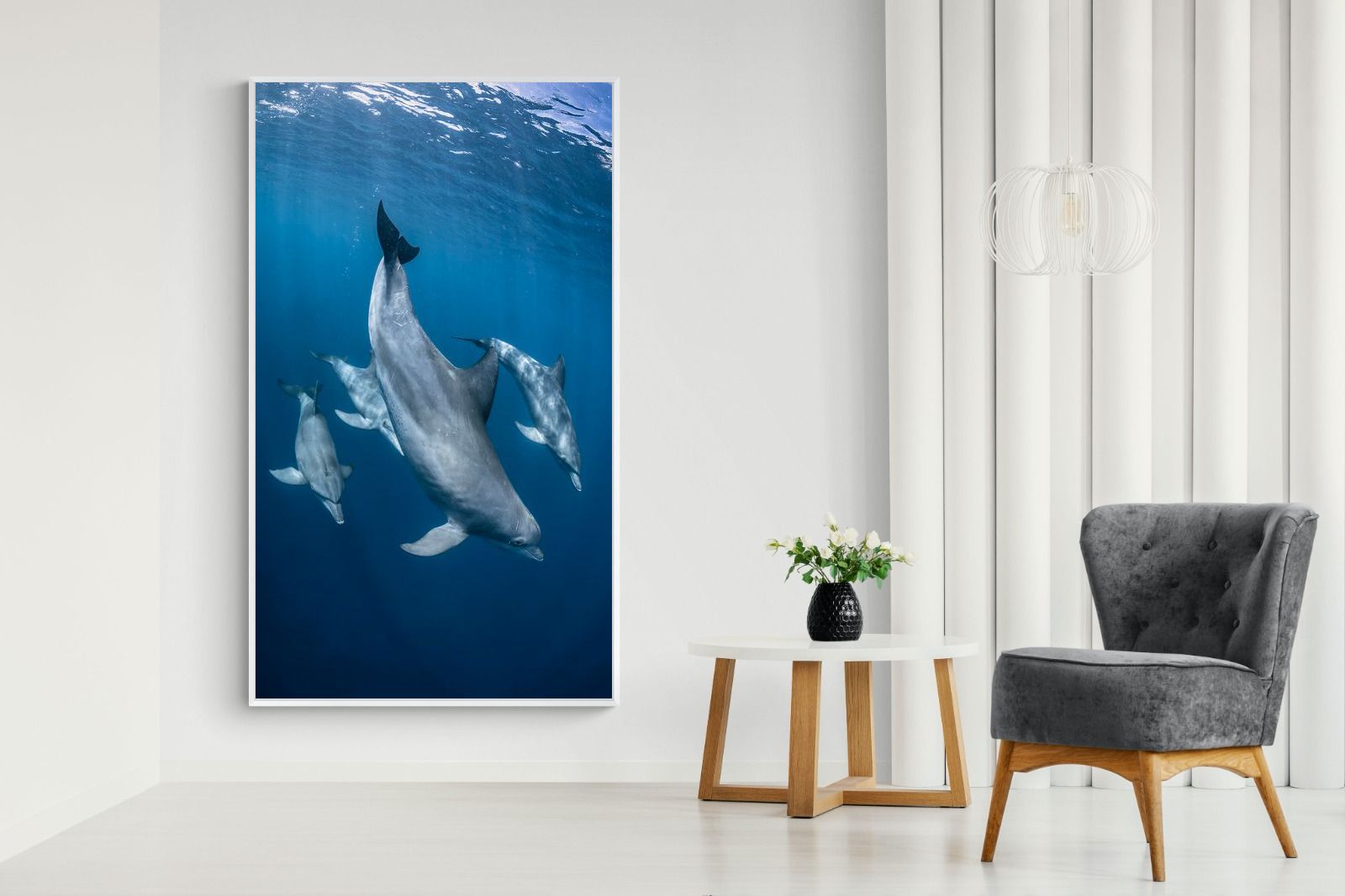 Pixalot ® Diving Dolphins