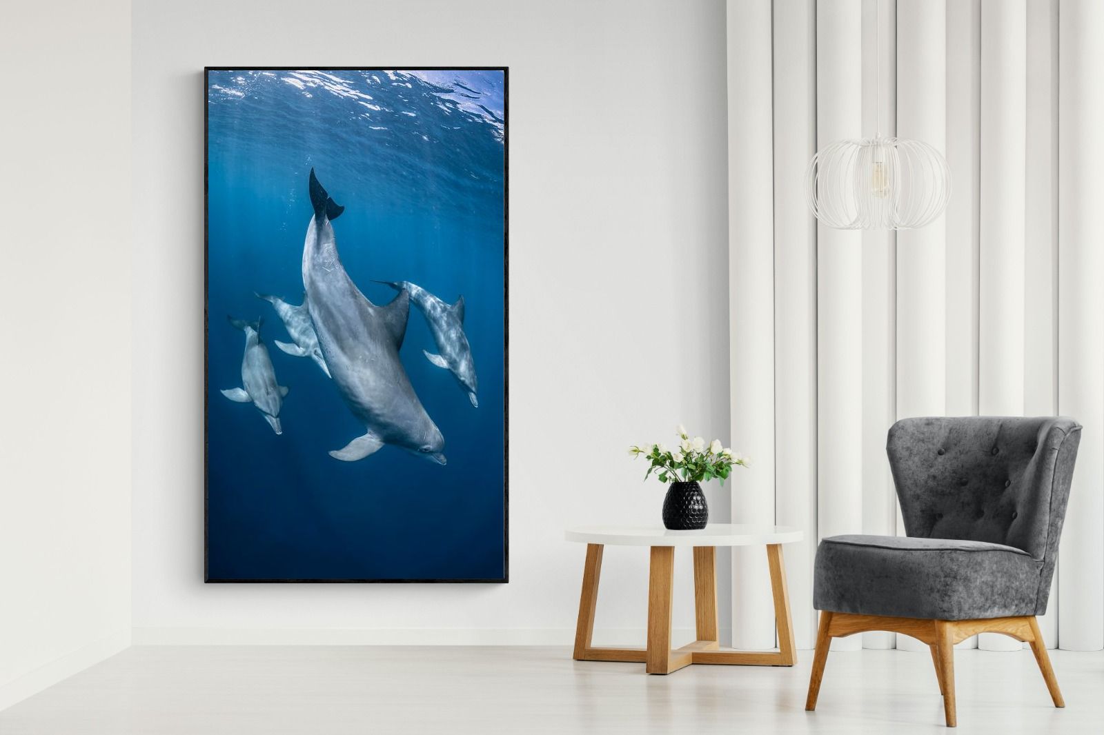 Pixalot ® Diving Dolphins