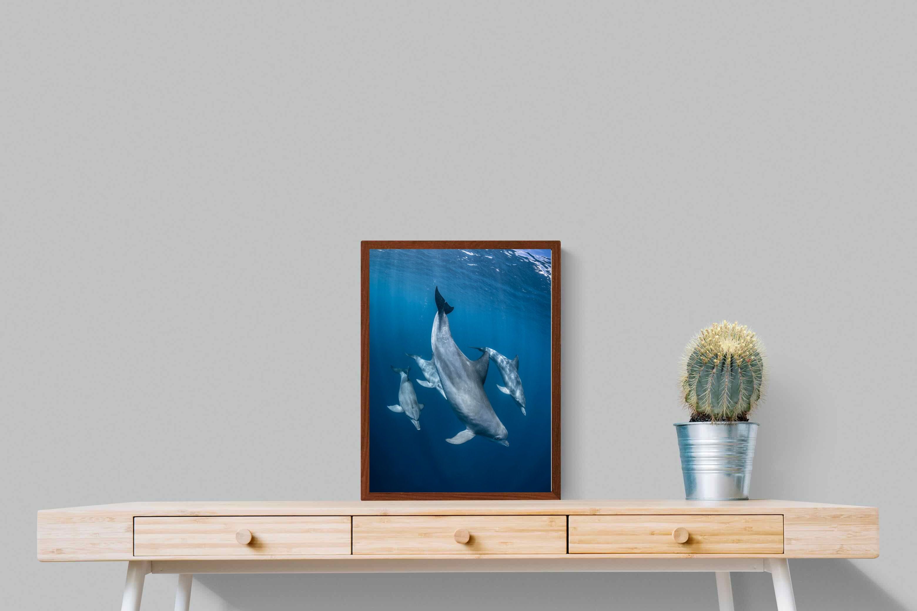 Pixalot ® Diving Dolphins