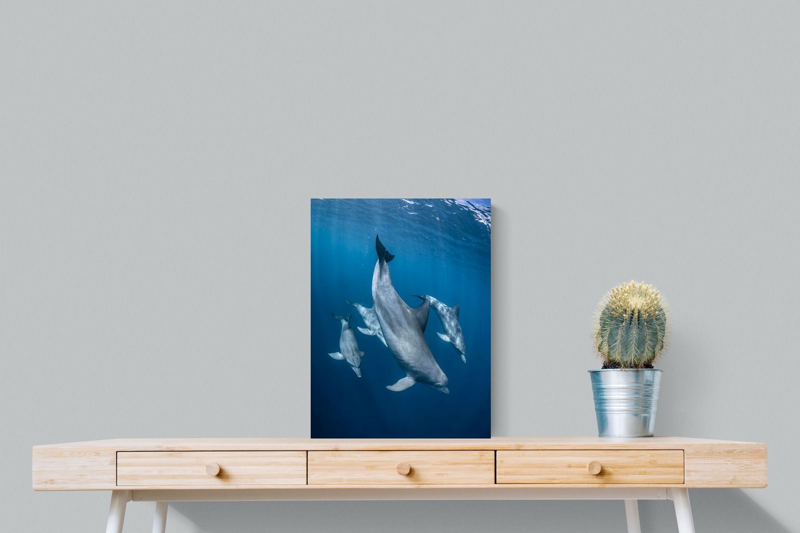 Pixalot ® Diving Dolphins