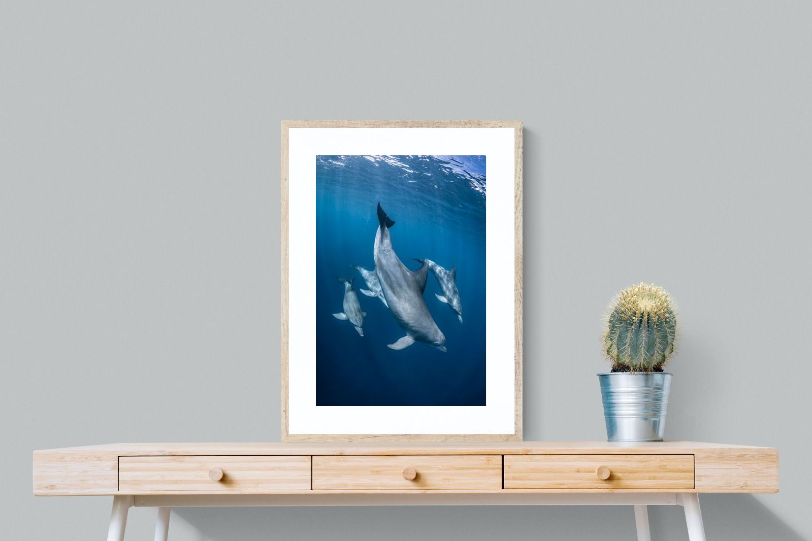 Pixalot ® Diving Dolphins