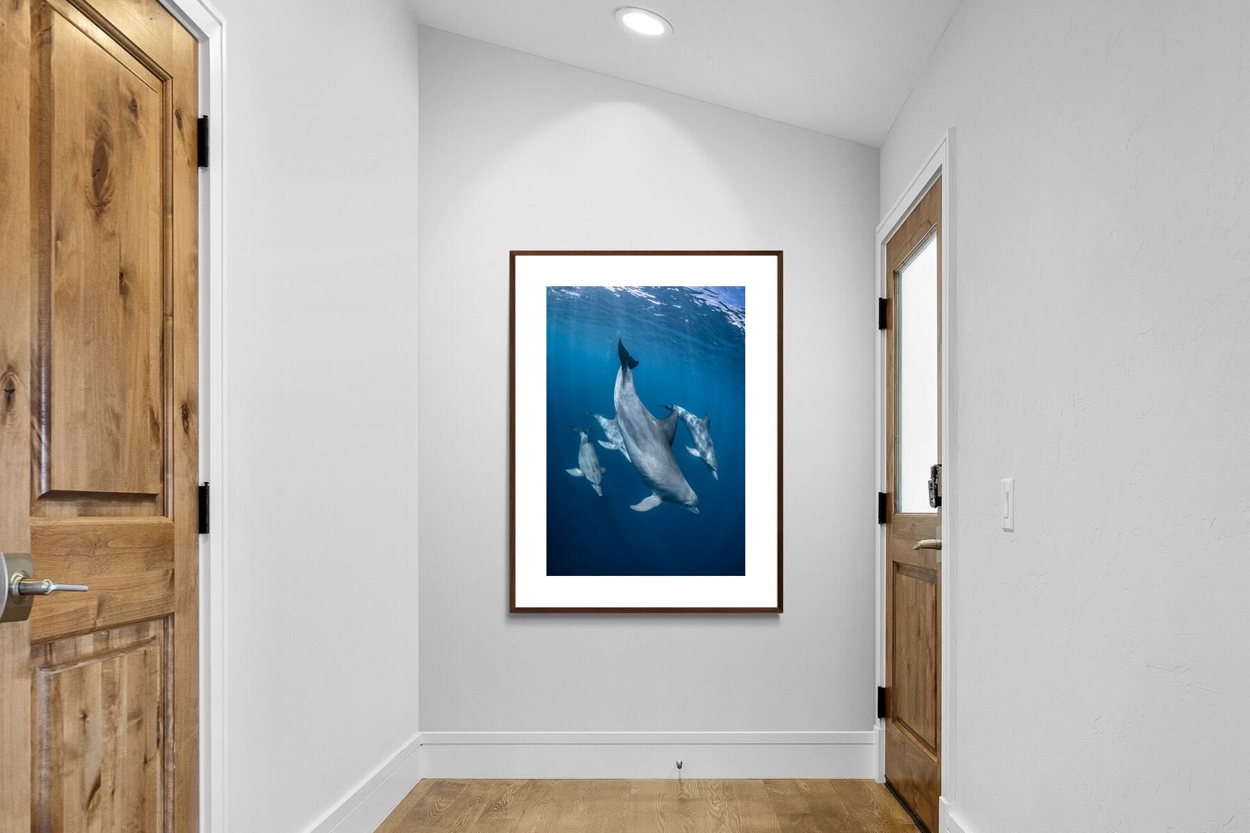Pixalot ® Diving Dolphins