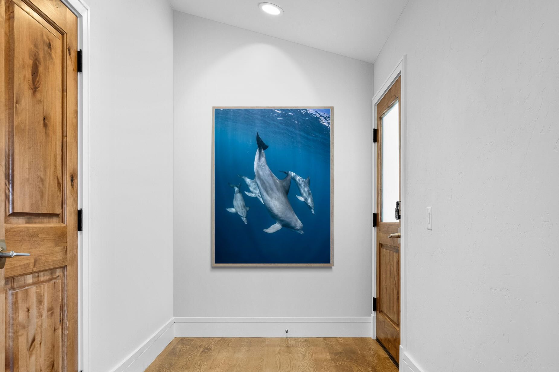 Pixalot ® Diving Dolphins