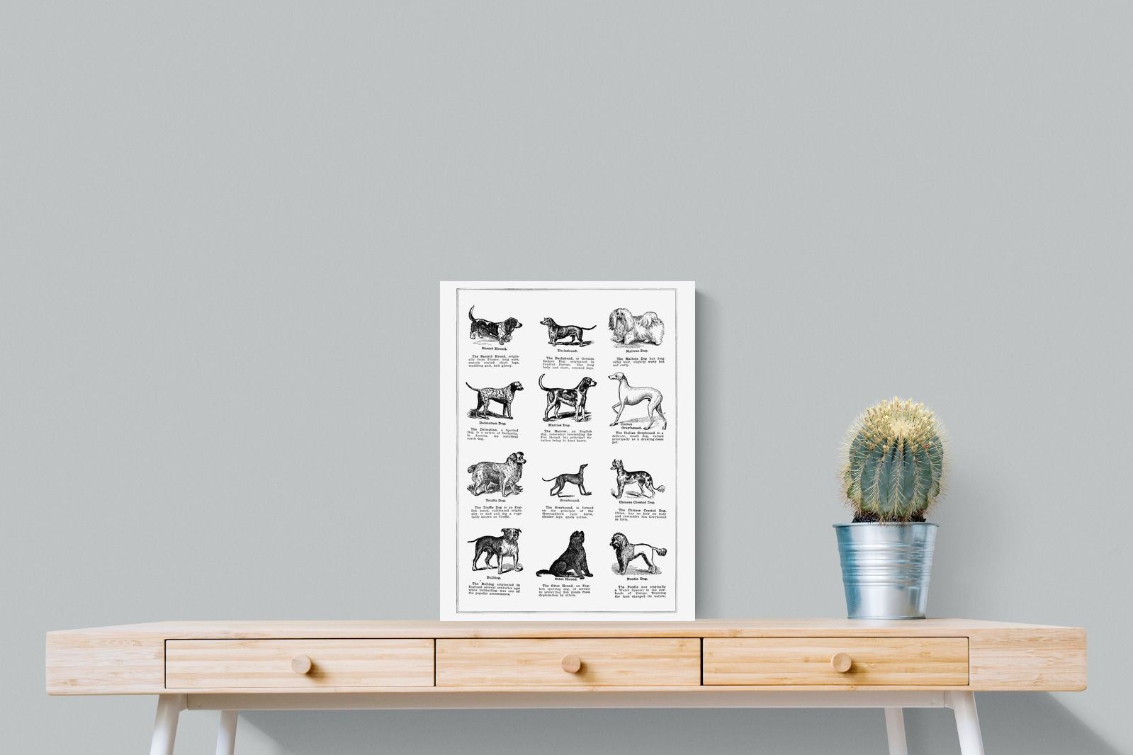 Pixalot Dog Breeds