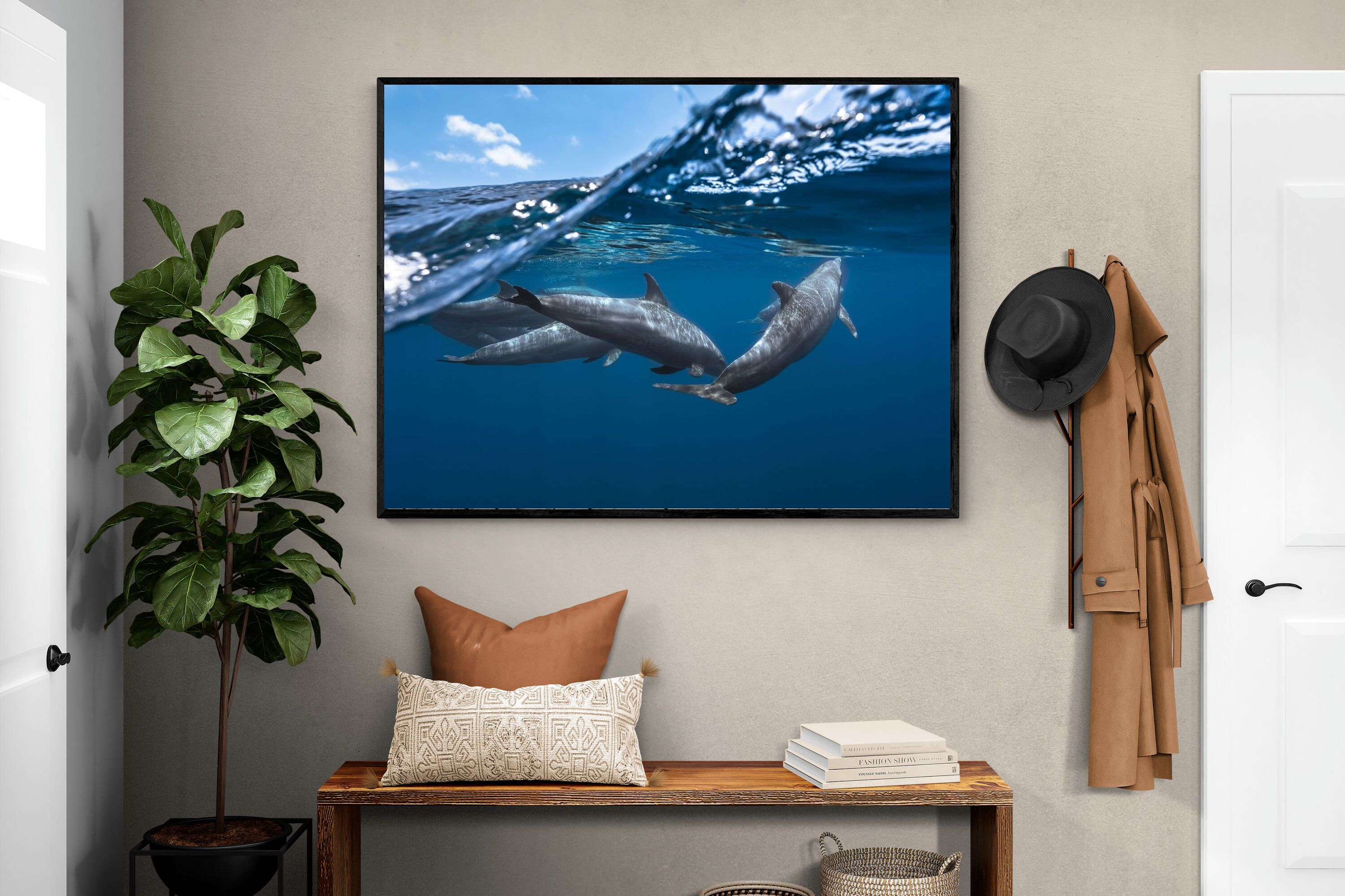 Pixalot Dolphin Trio