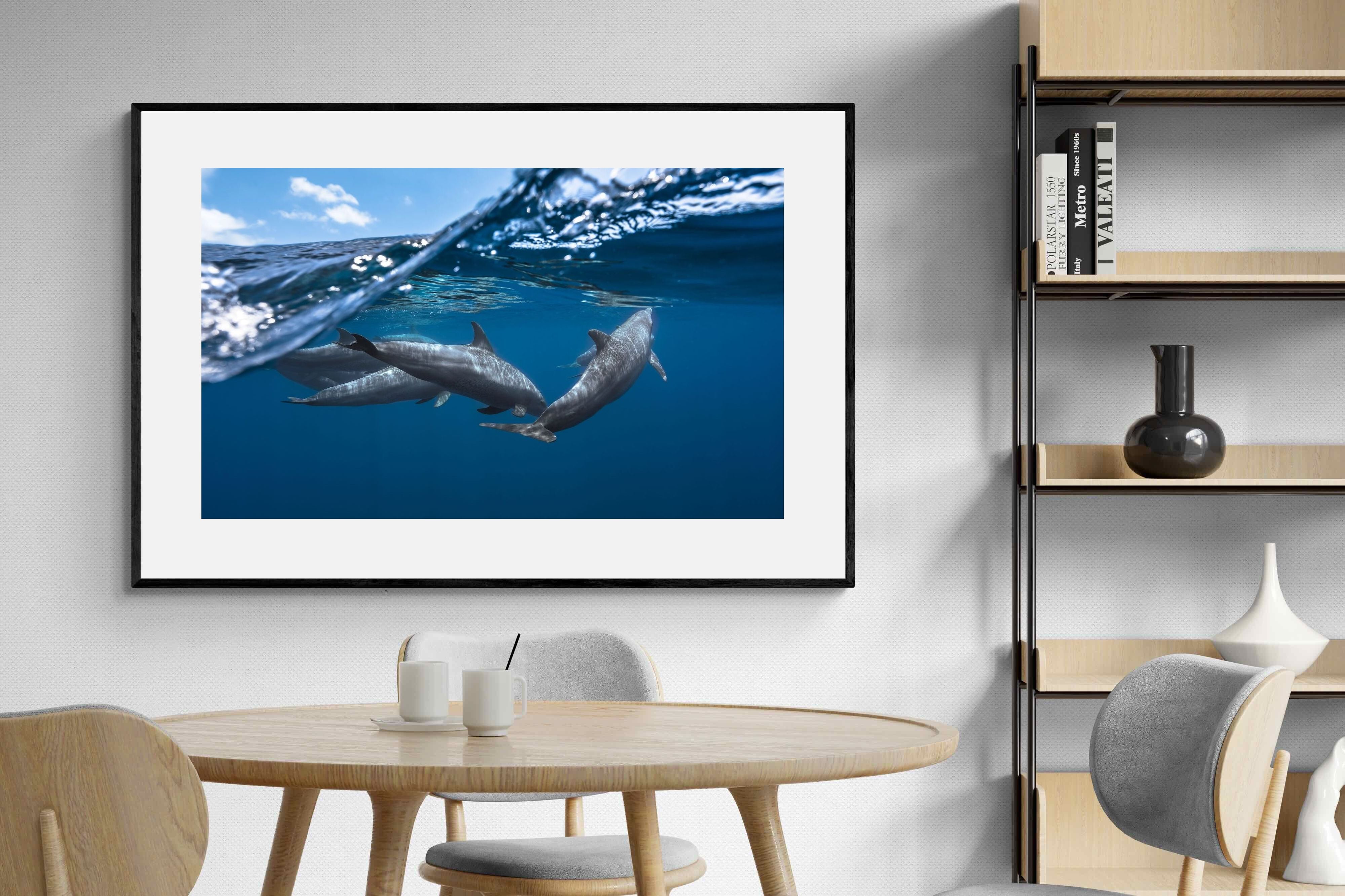 Pixalot Dolphin Trio