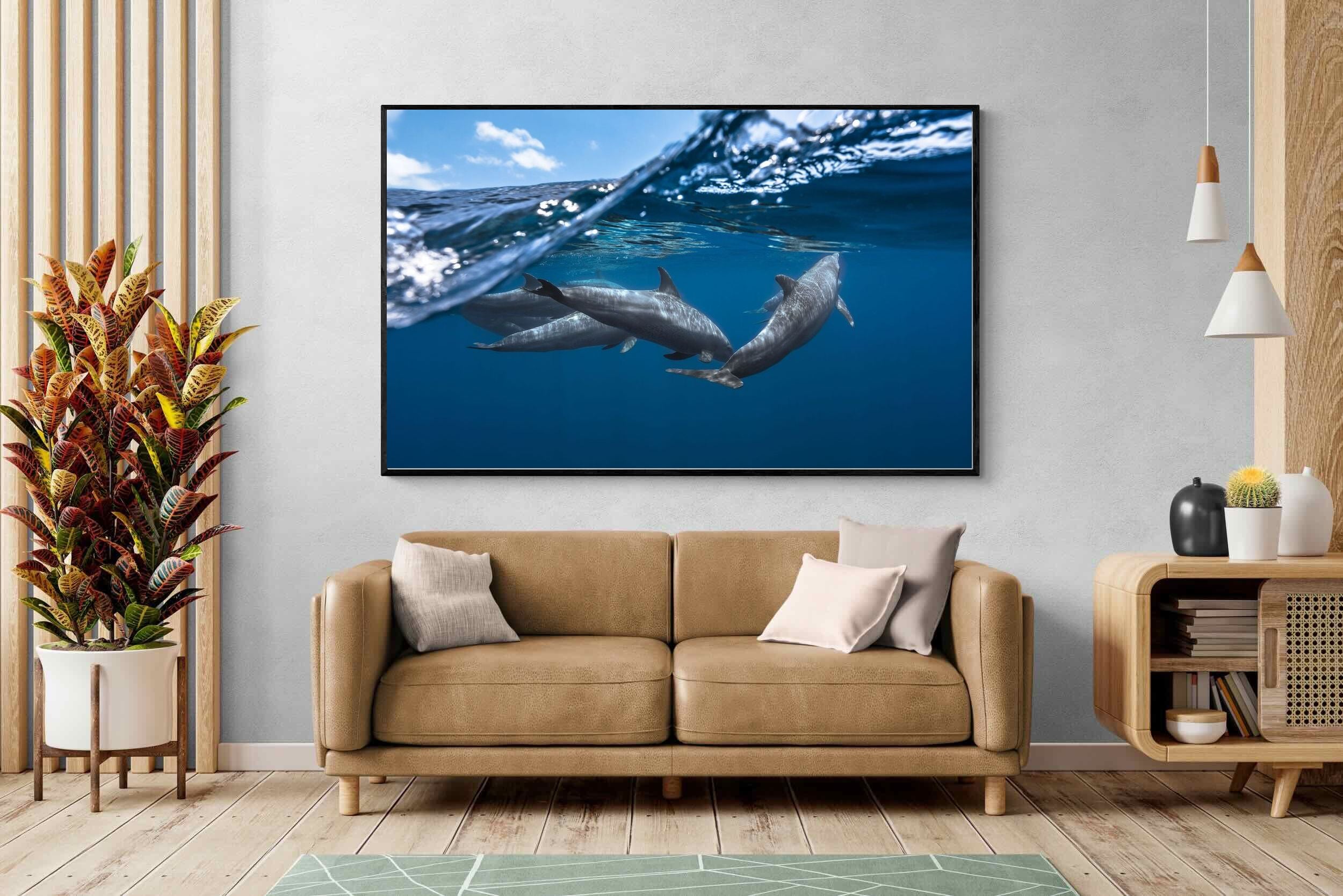 Pixalot Dolphin Trio