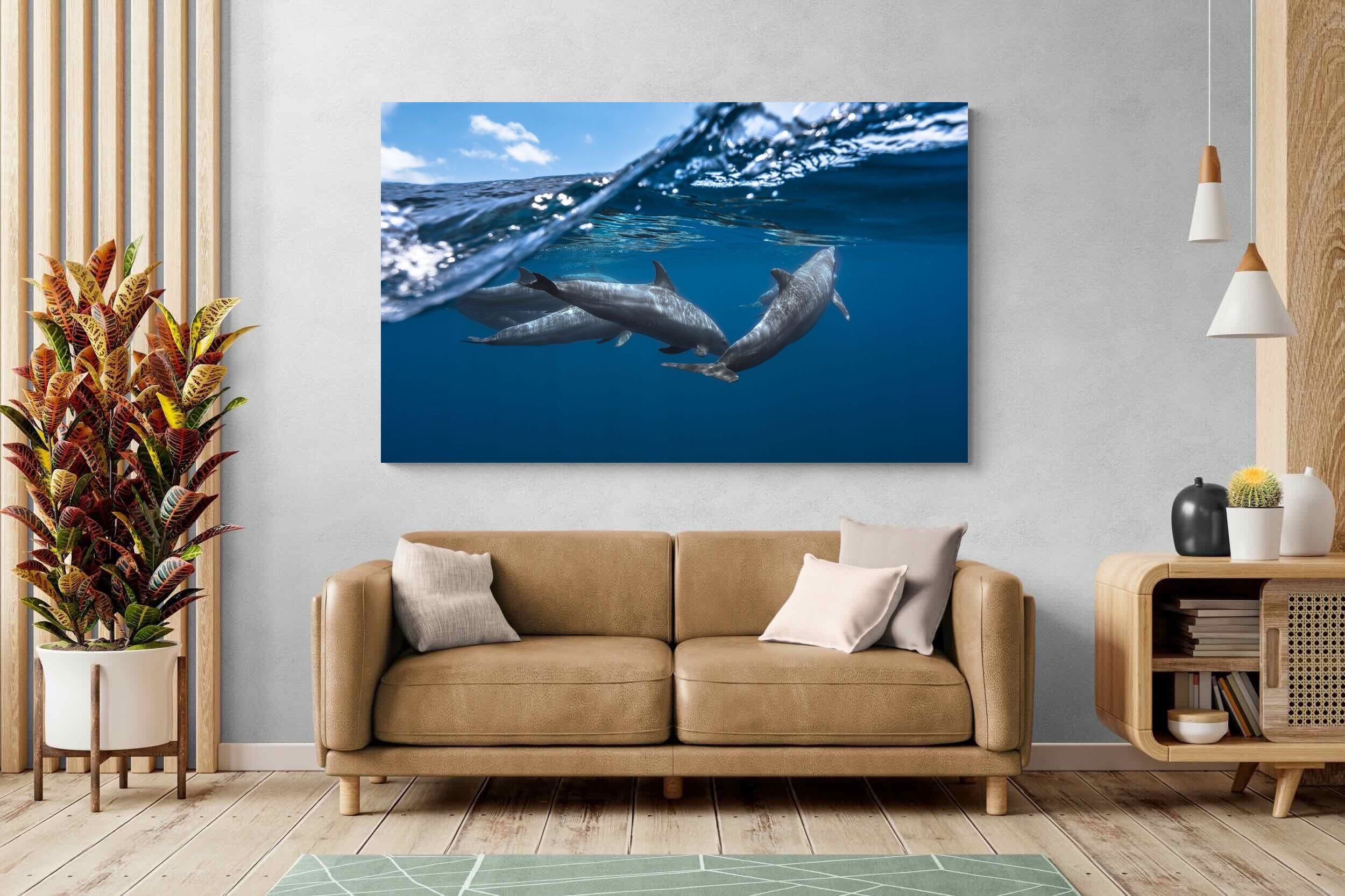 Pixalot Dolphin Trio