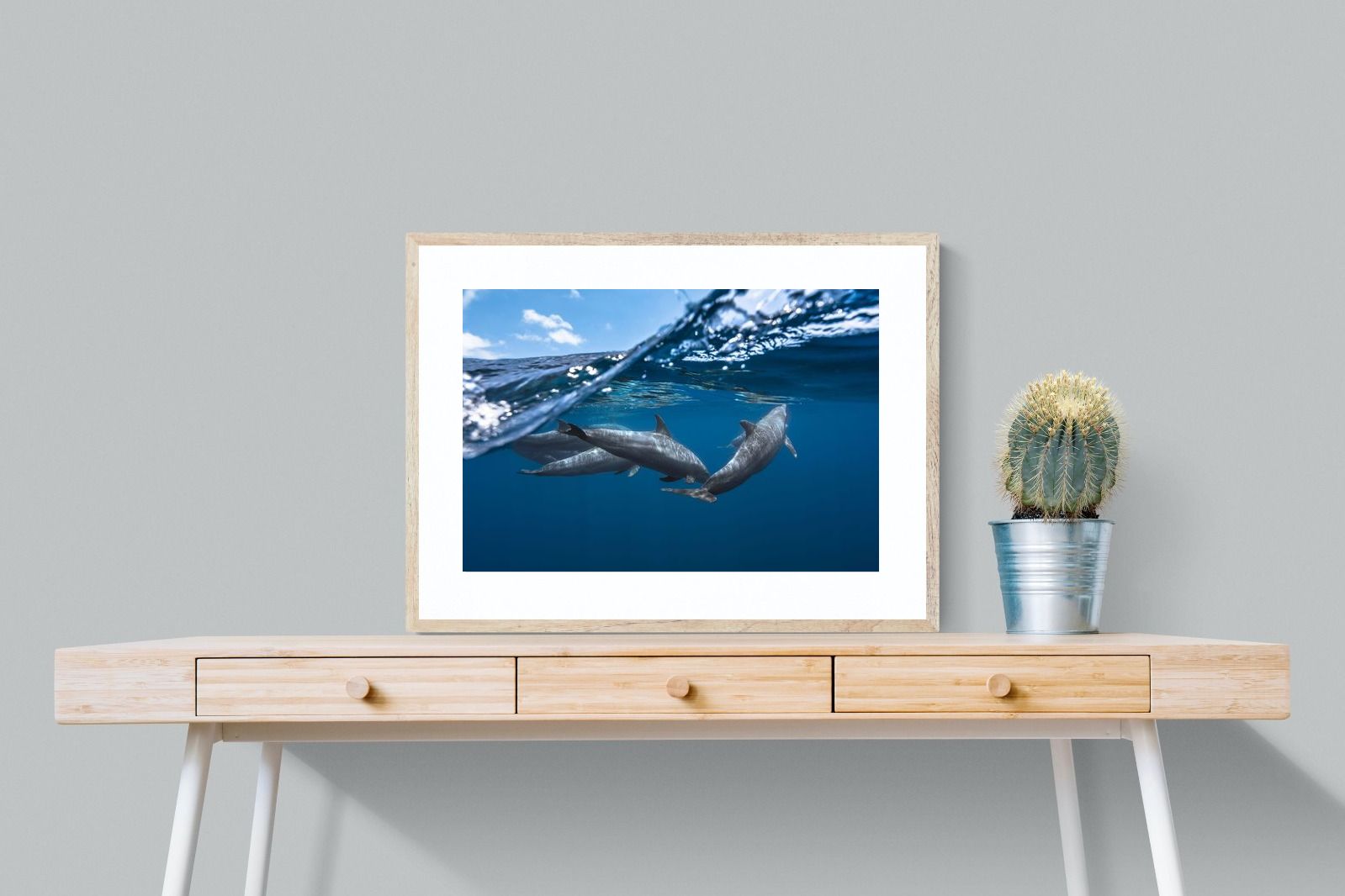 Pixalot Dolphin Trio