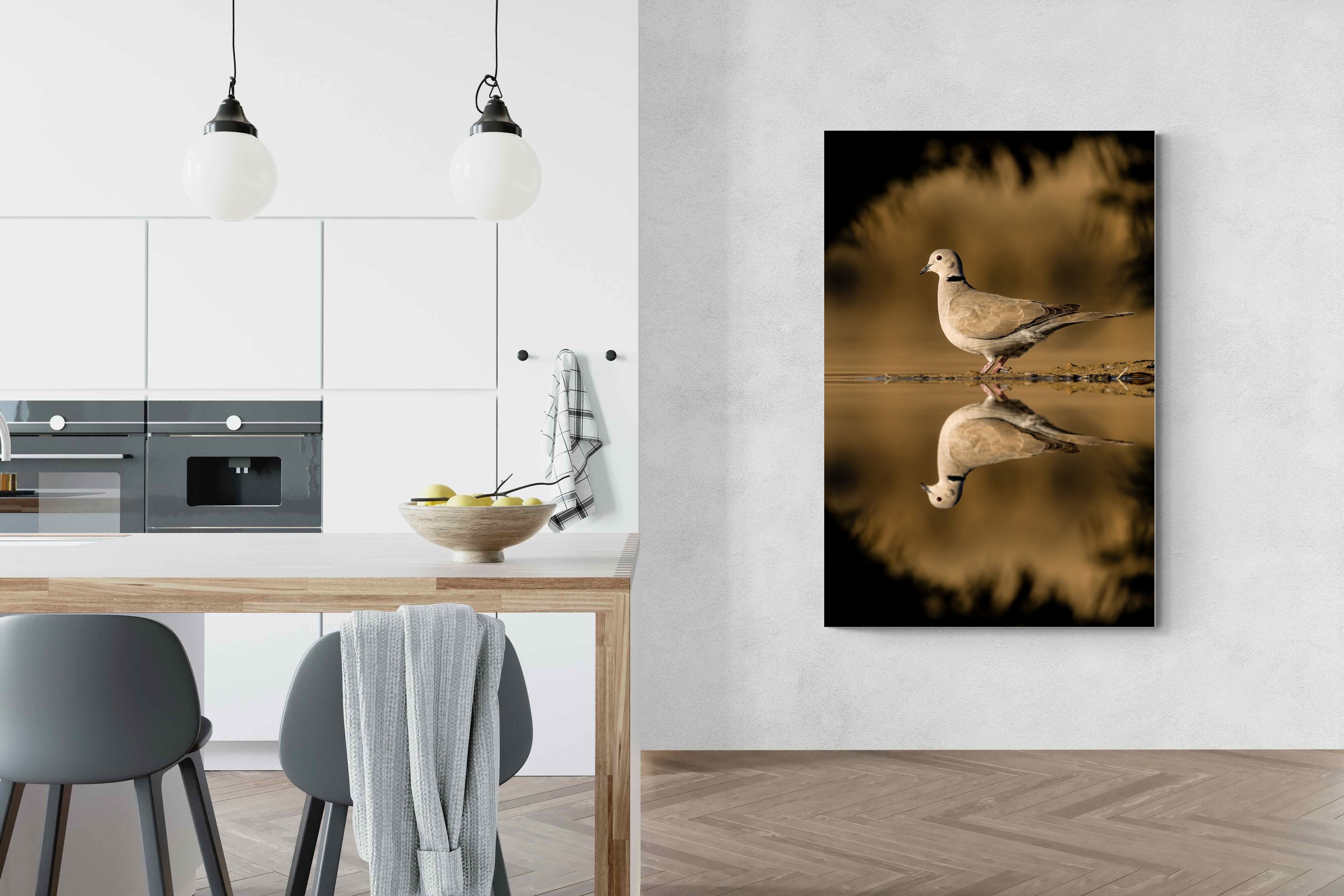 Pixalot Dove