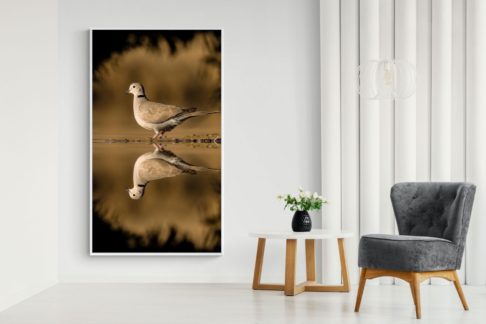 Pixalot Dove