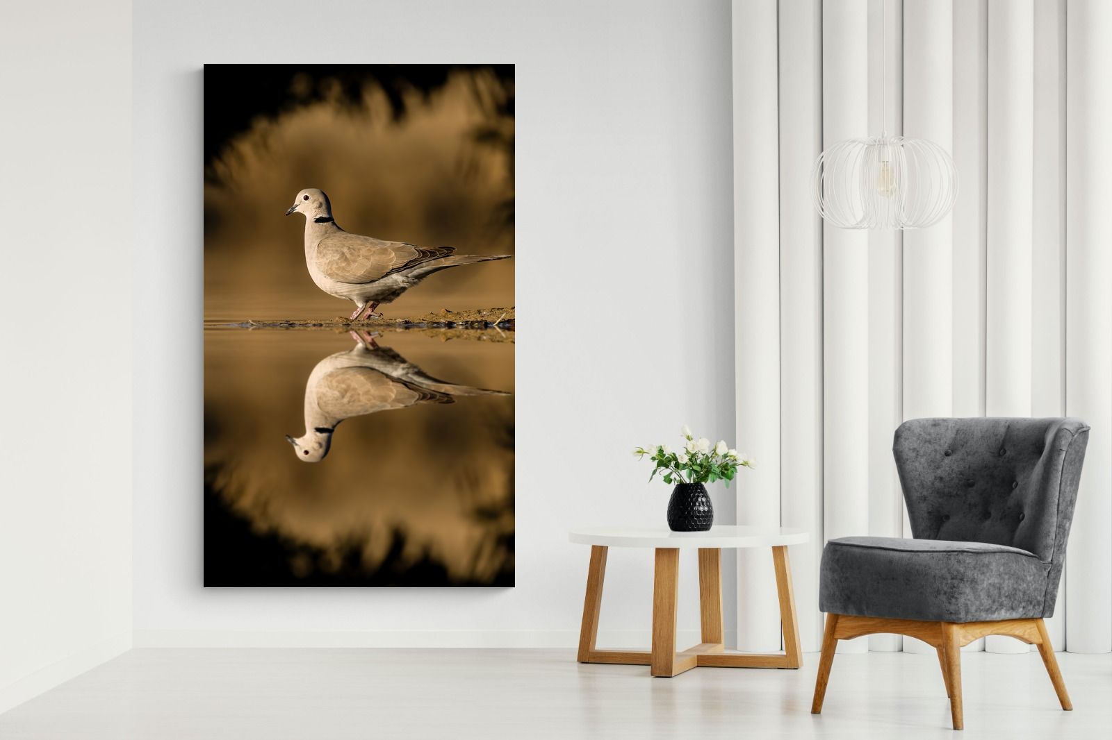 Pixalot Dove