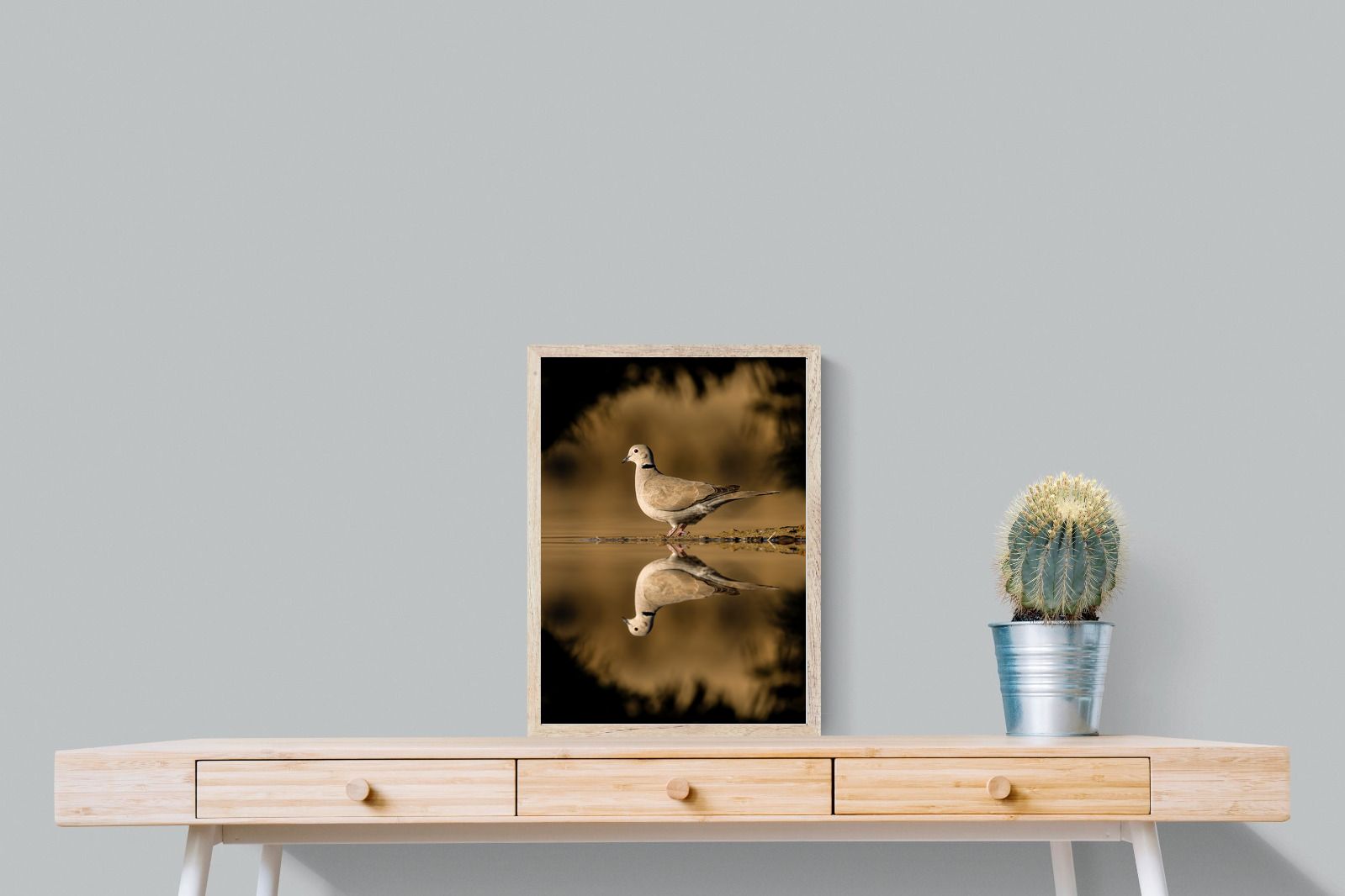 Pixalot Dove