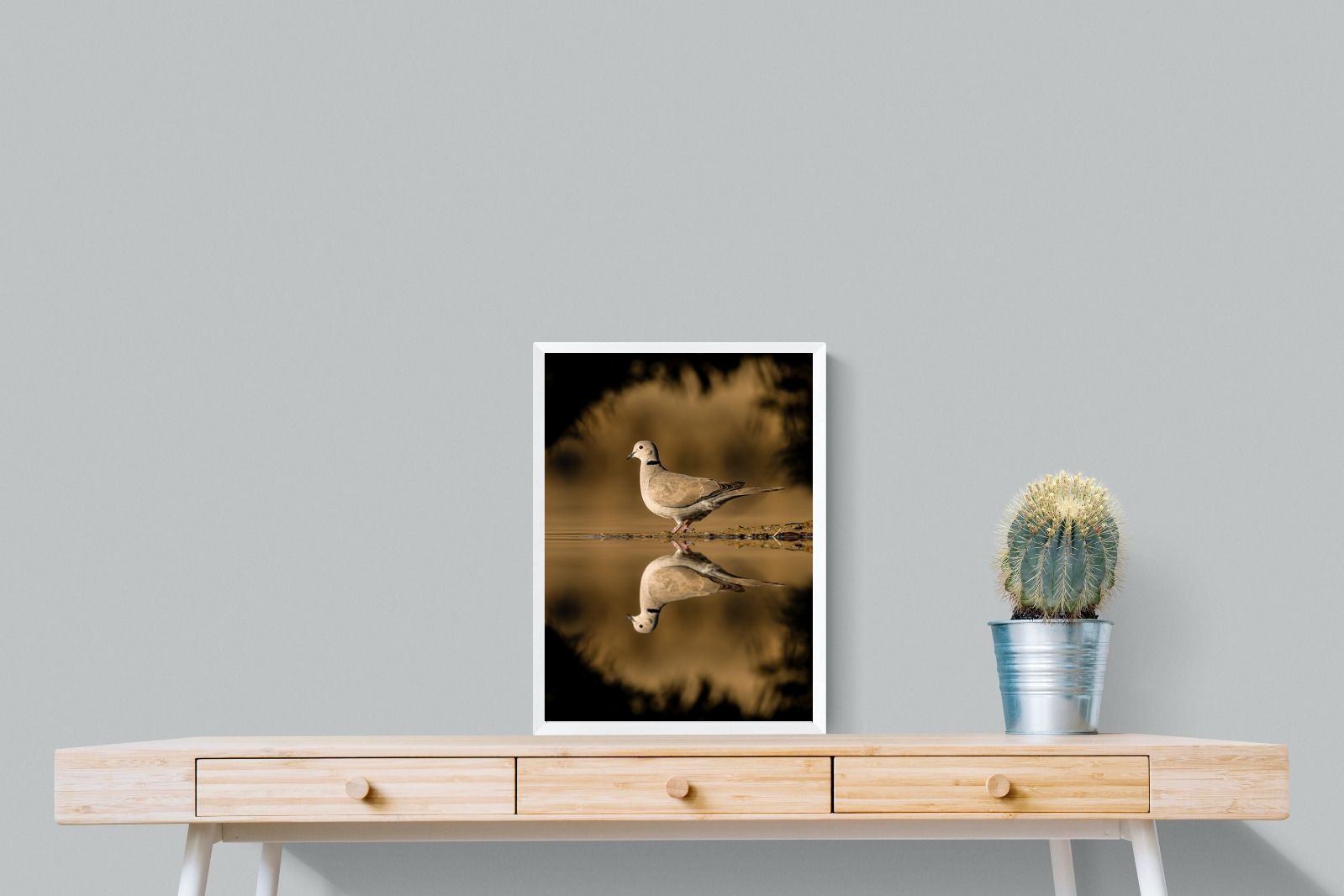 Pixalot Dove