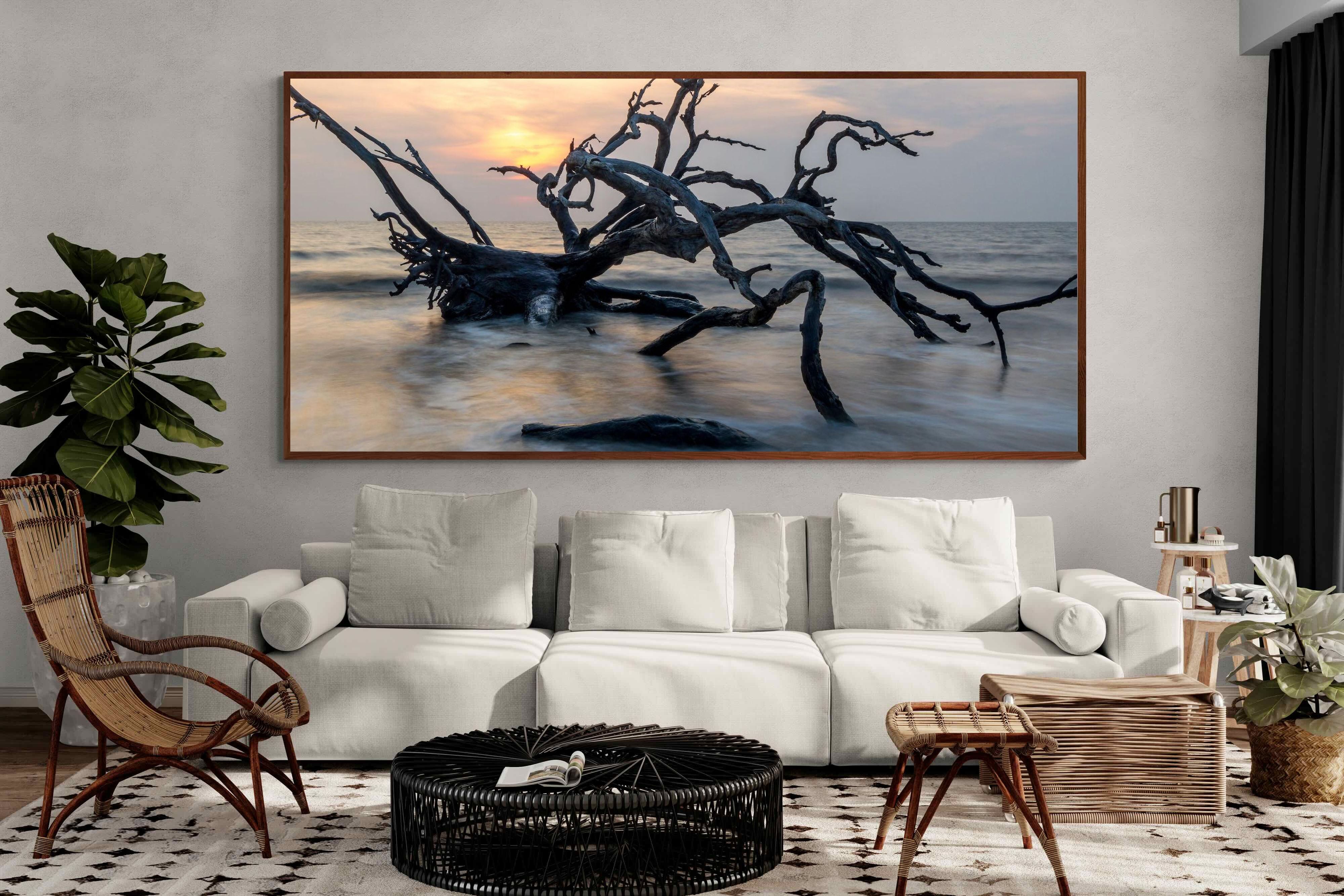 Pixalot ® Driftwood Sunrise