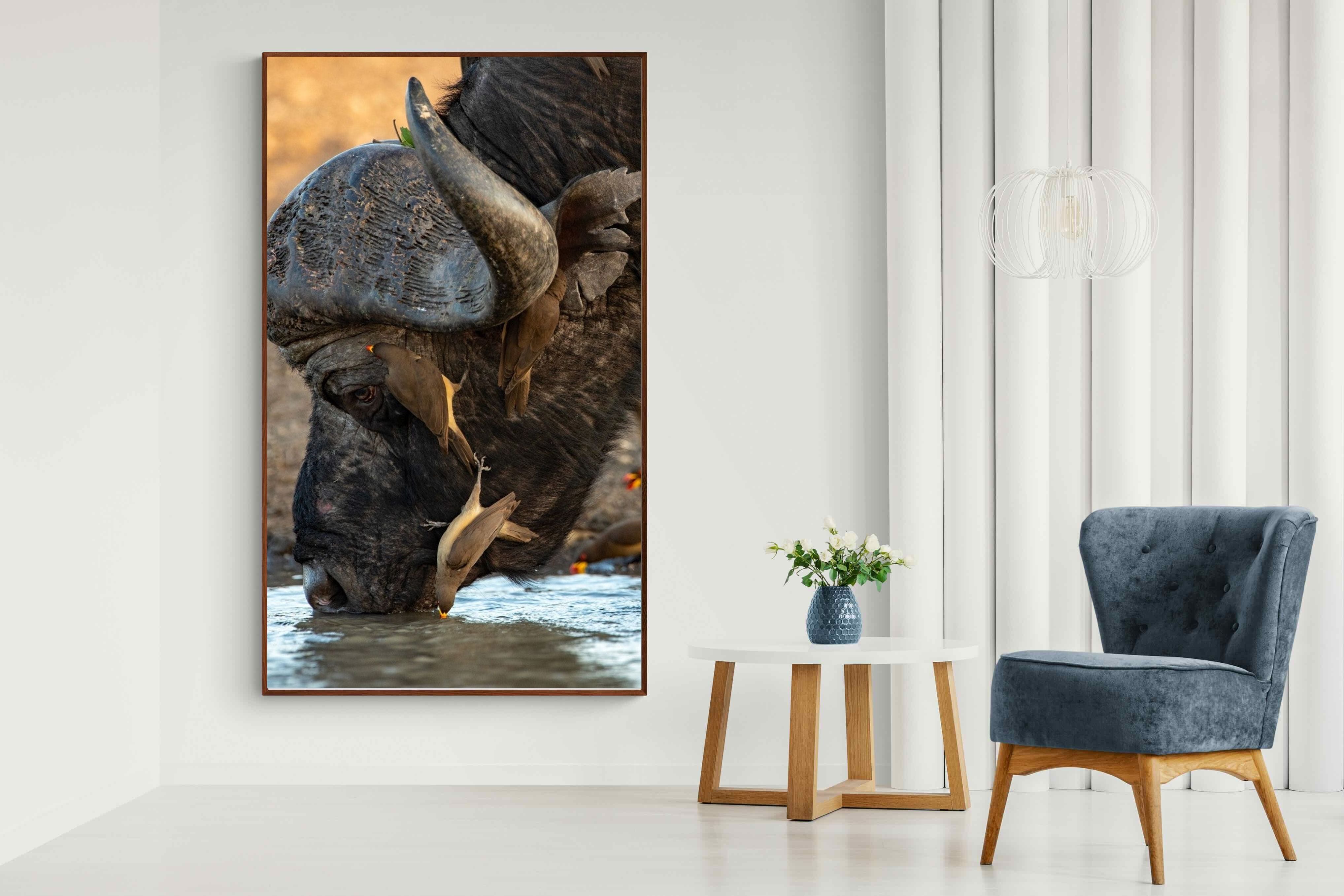 Pixalot Drinking Buffalo