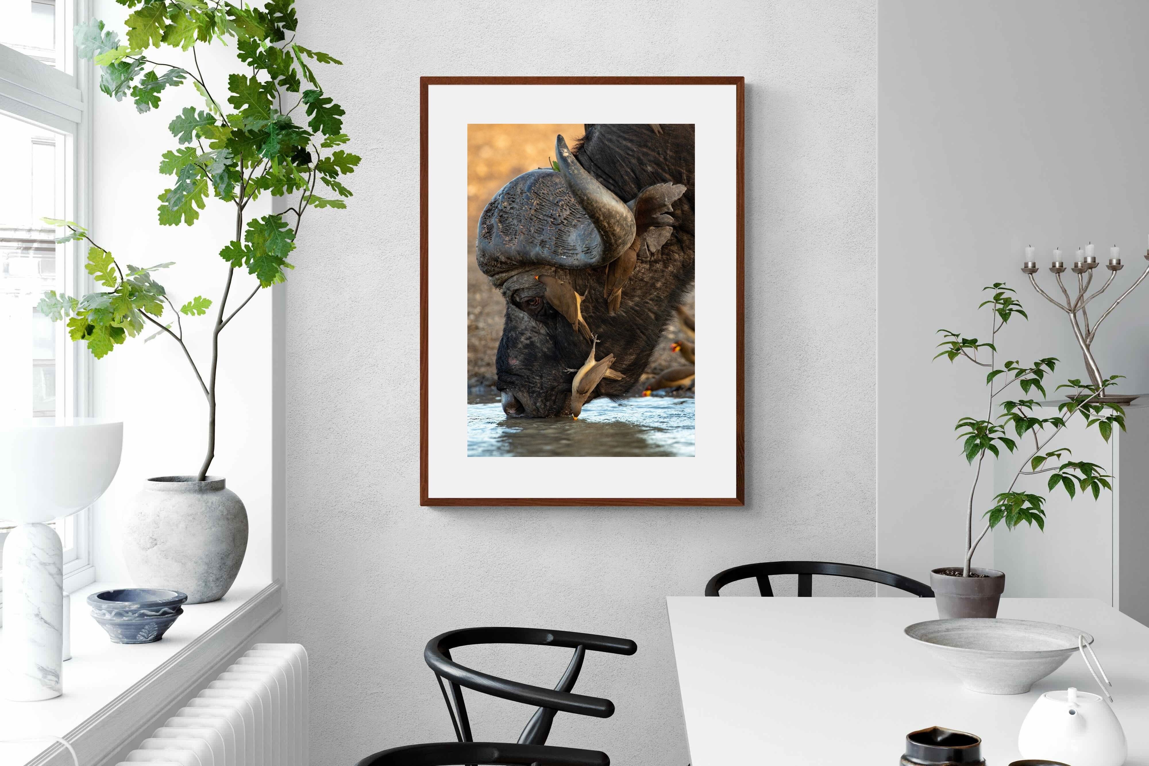 Pixalot Drinking Buffalo