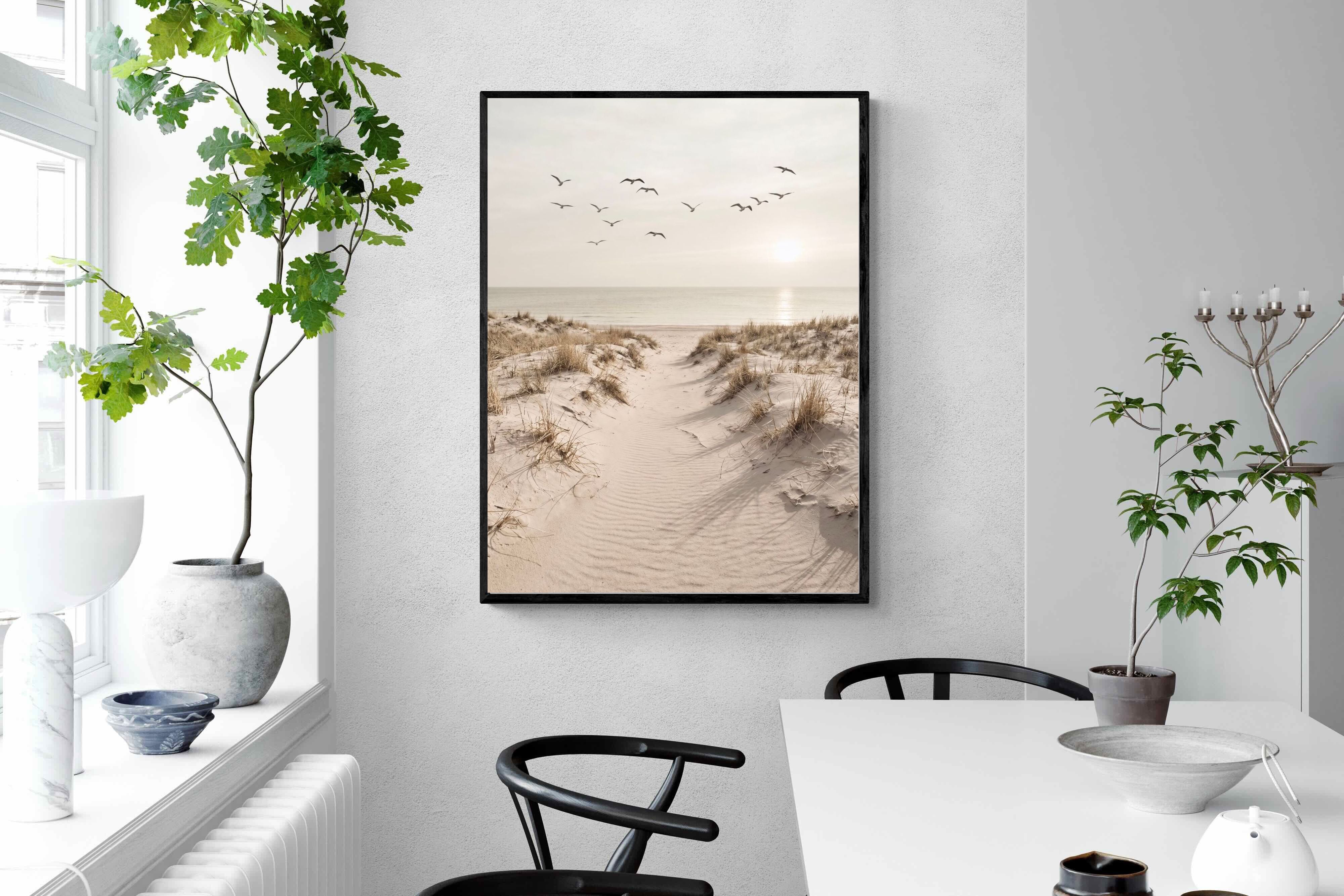 Pixalot ® Dune Flight