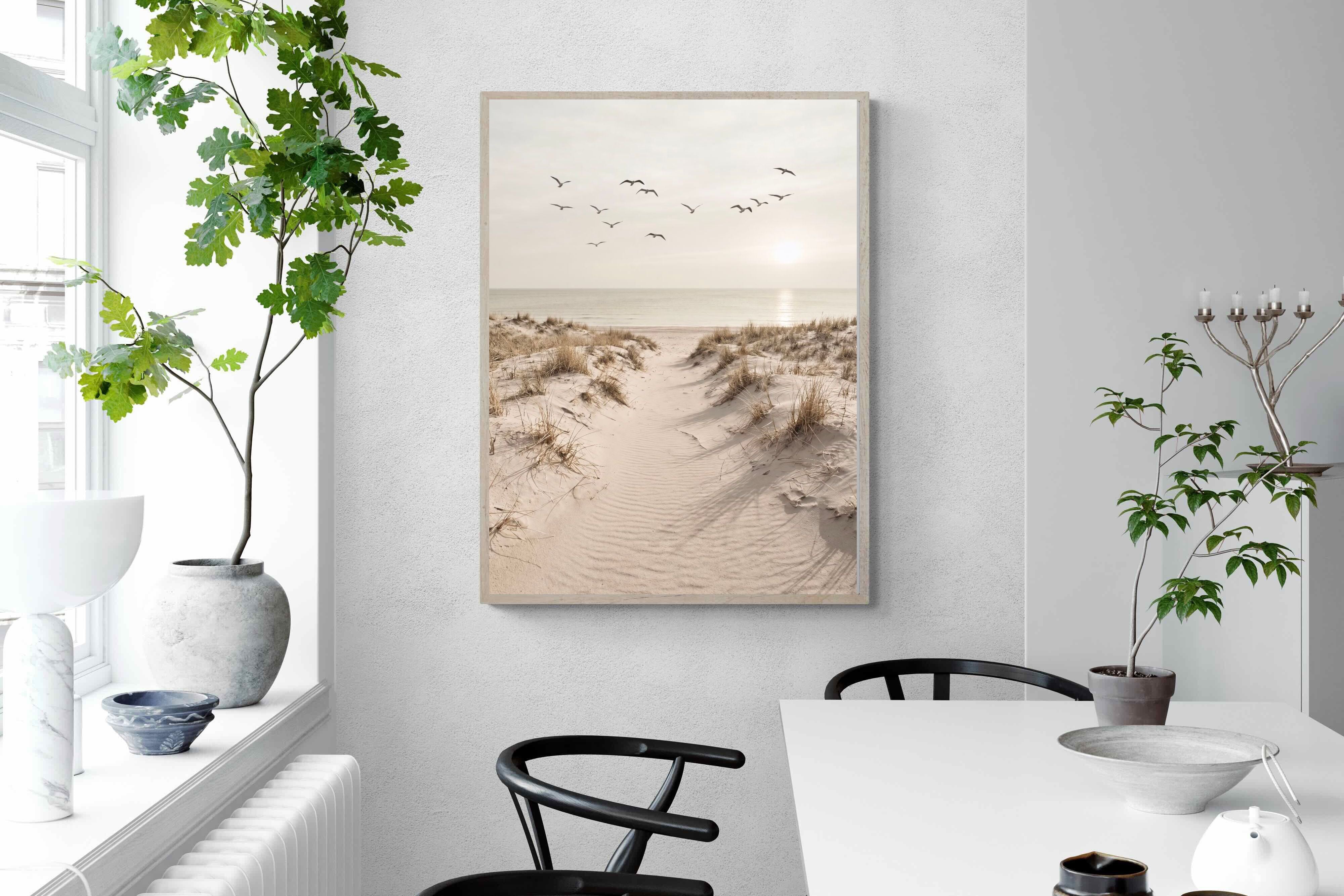 Pixalot ® Dune Flight