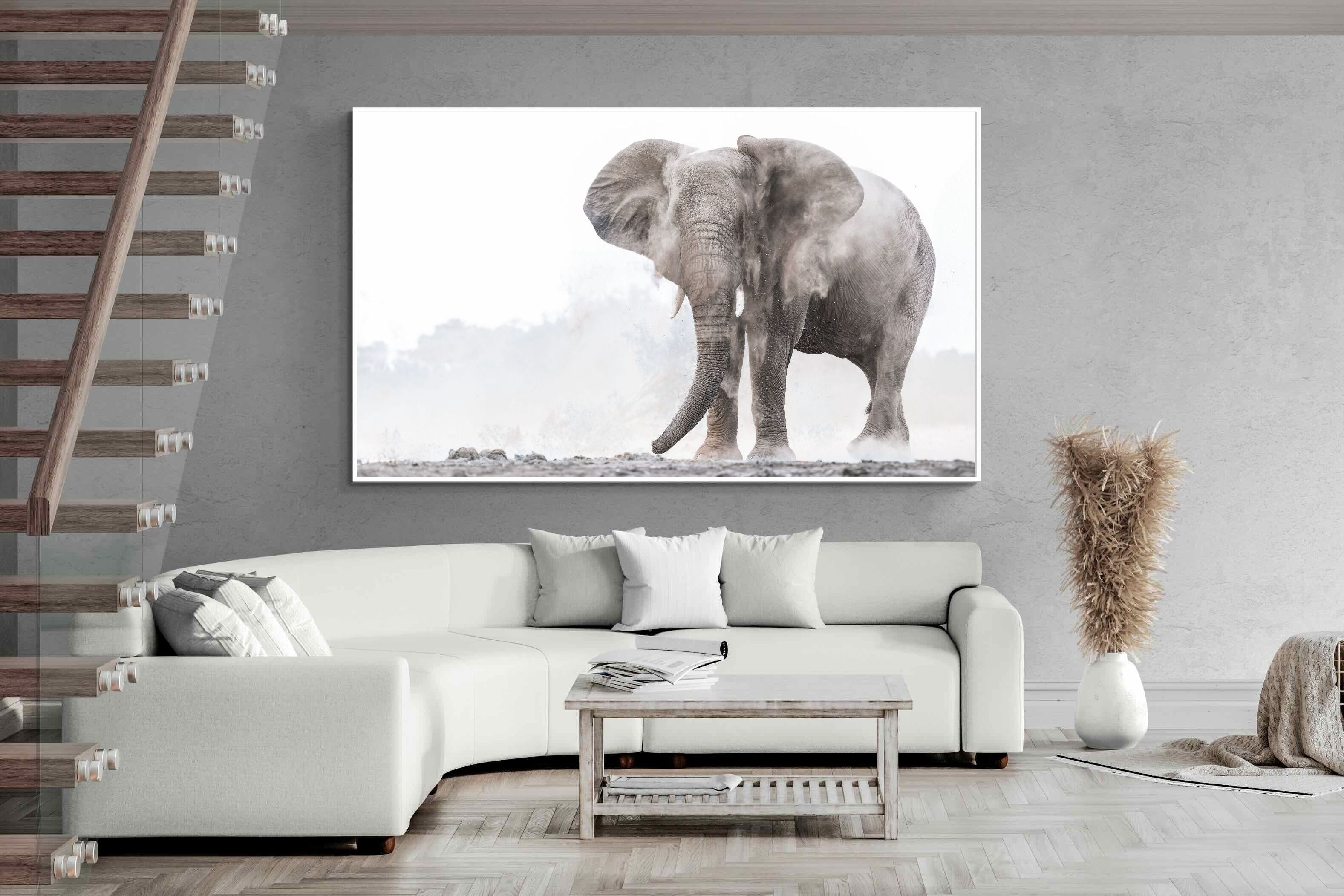 Pixalot Dust Bath Giant