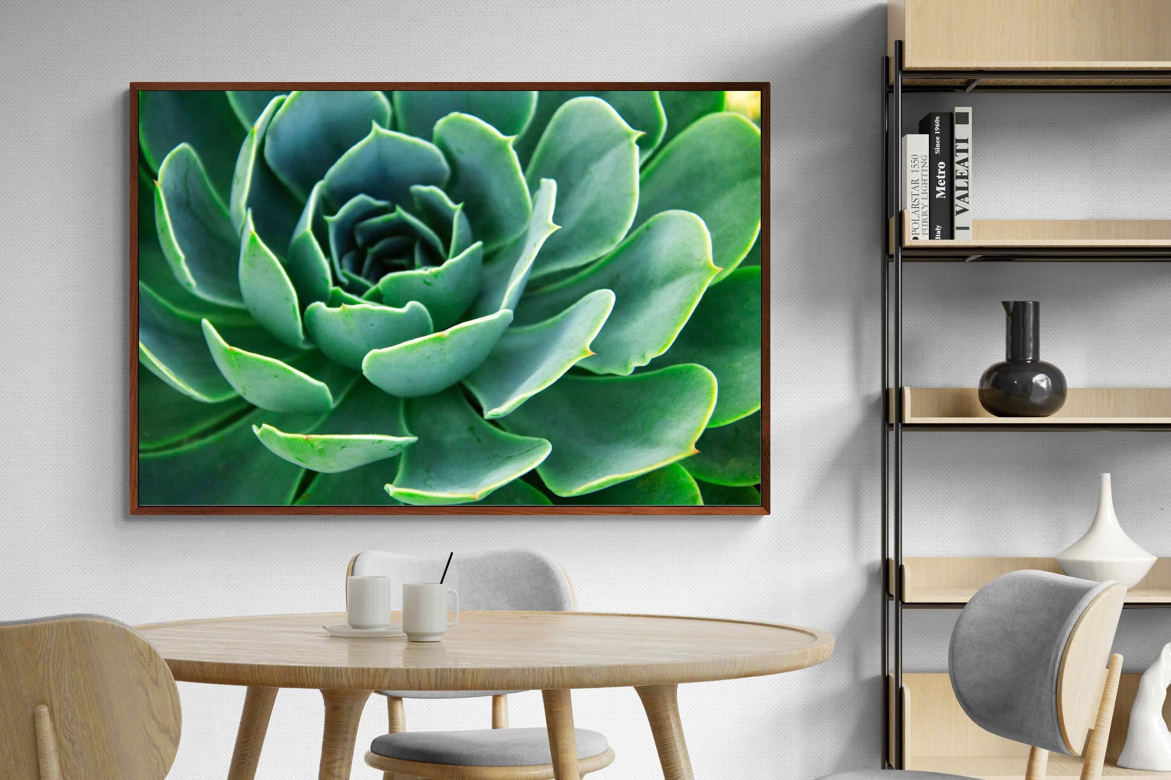 Pixalot ® Echeveria Elegans