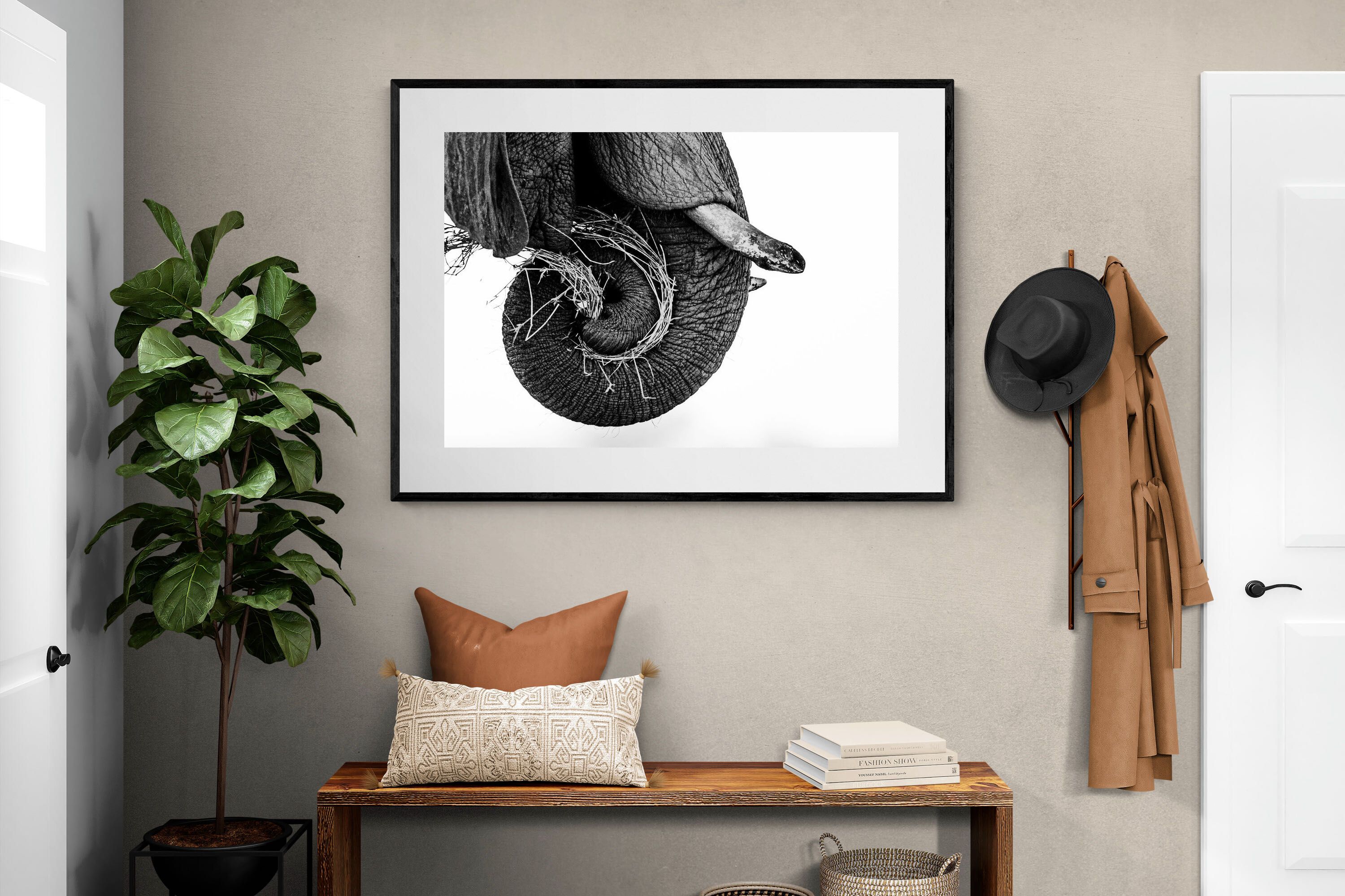 Pixalot ® Elephant Coil