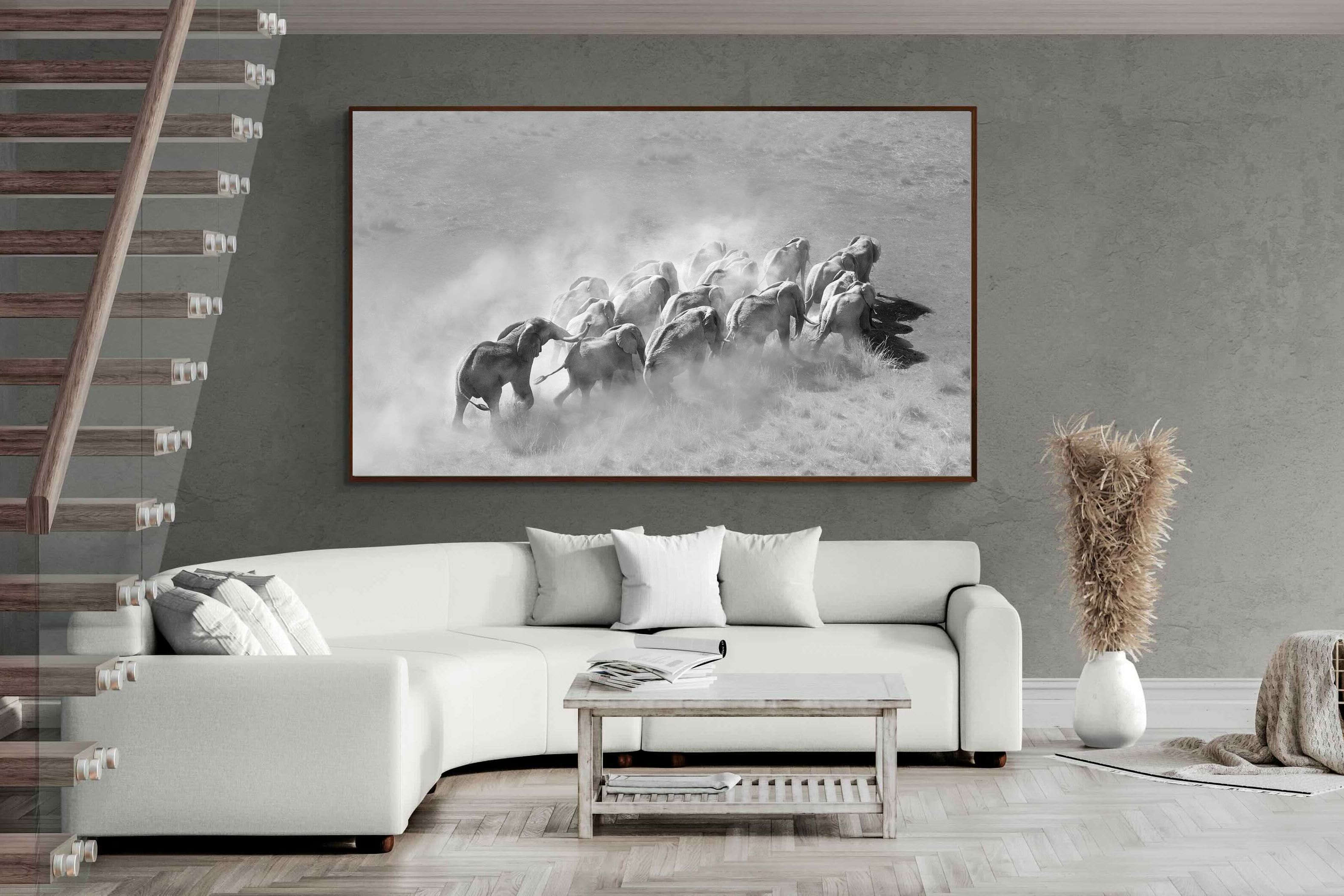 Pixalot ® Elephant Convoy (black & white)