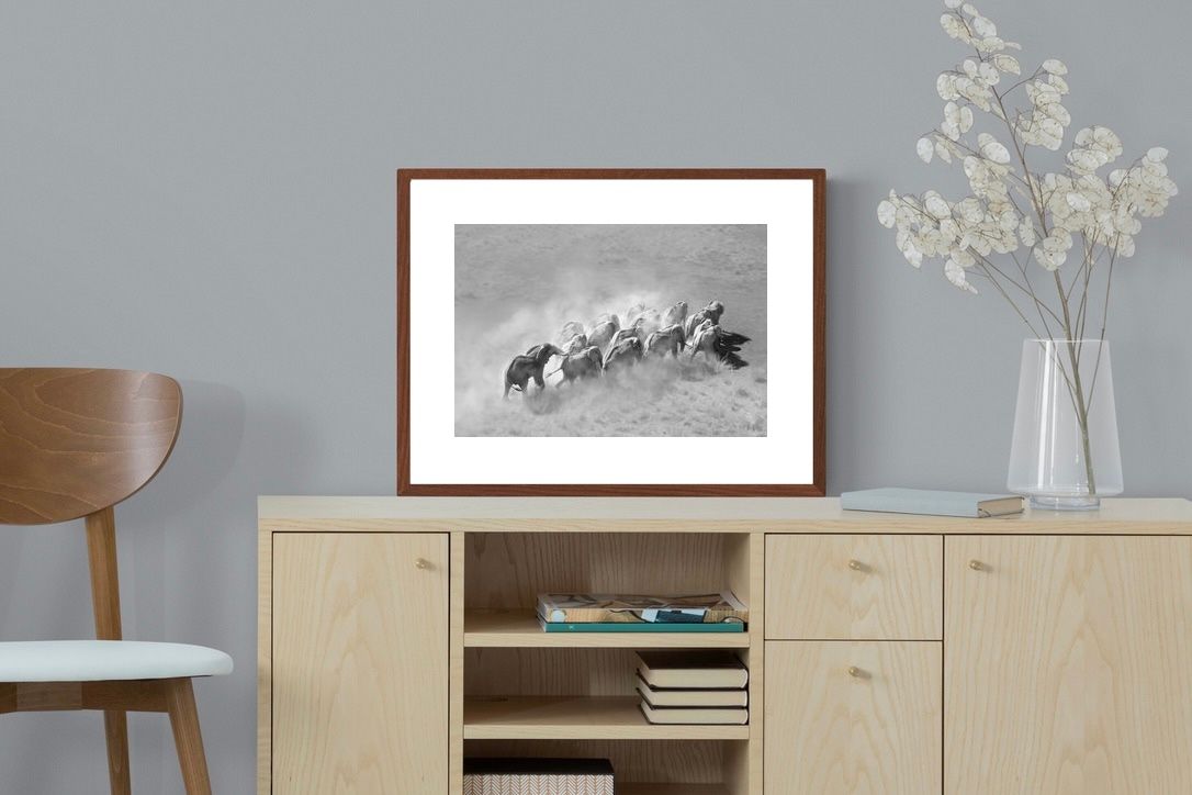 Pixalot ® Elephant Convoy (black & white)