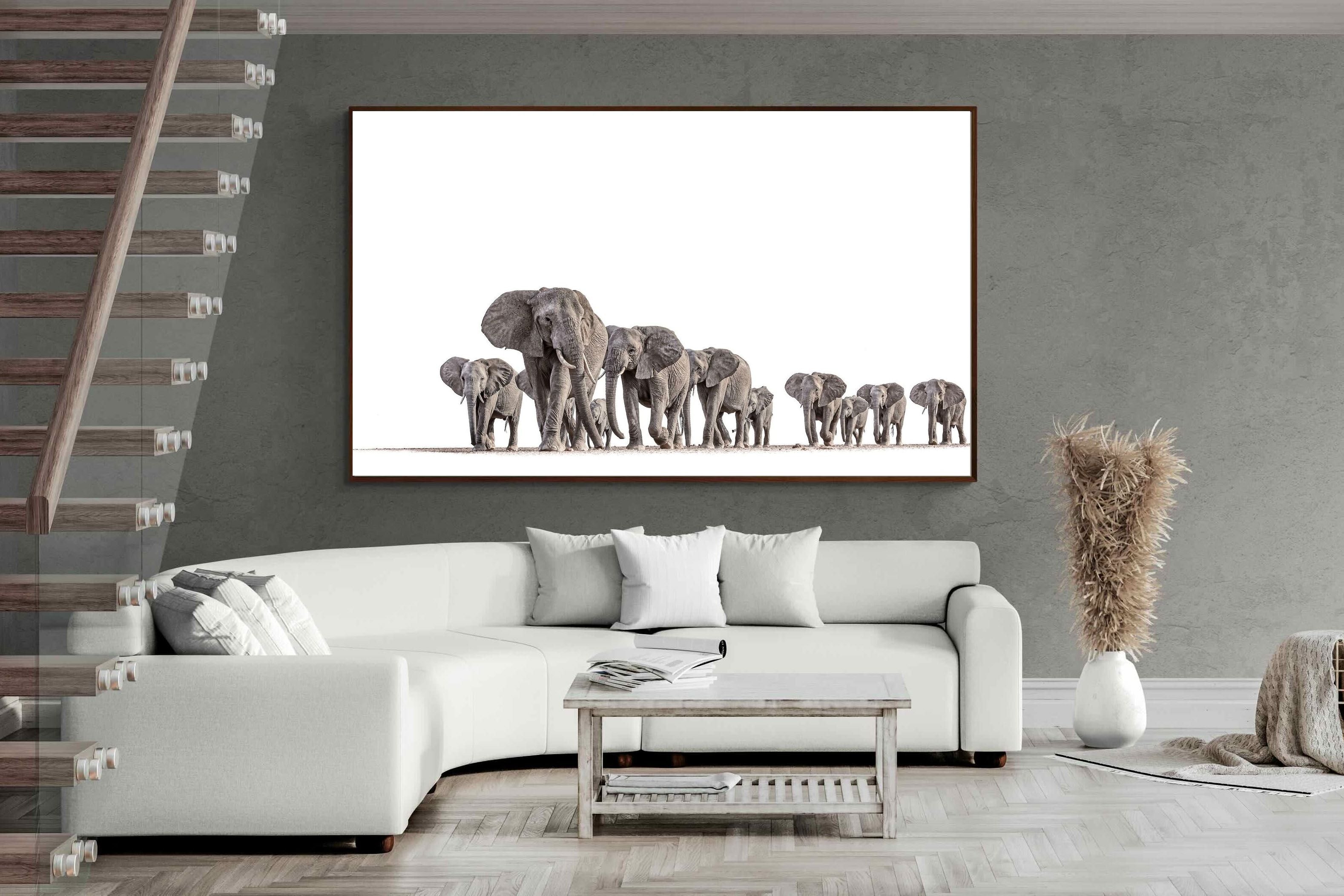 Pixalot ® Elephant Convoy (high key)