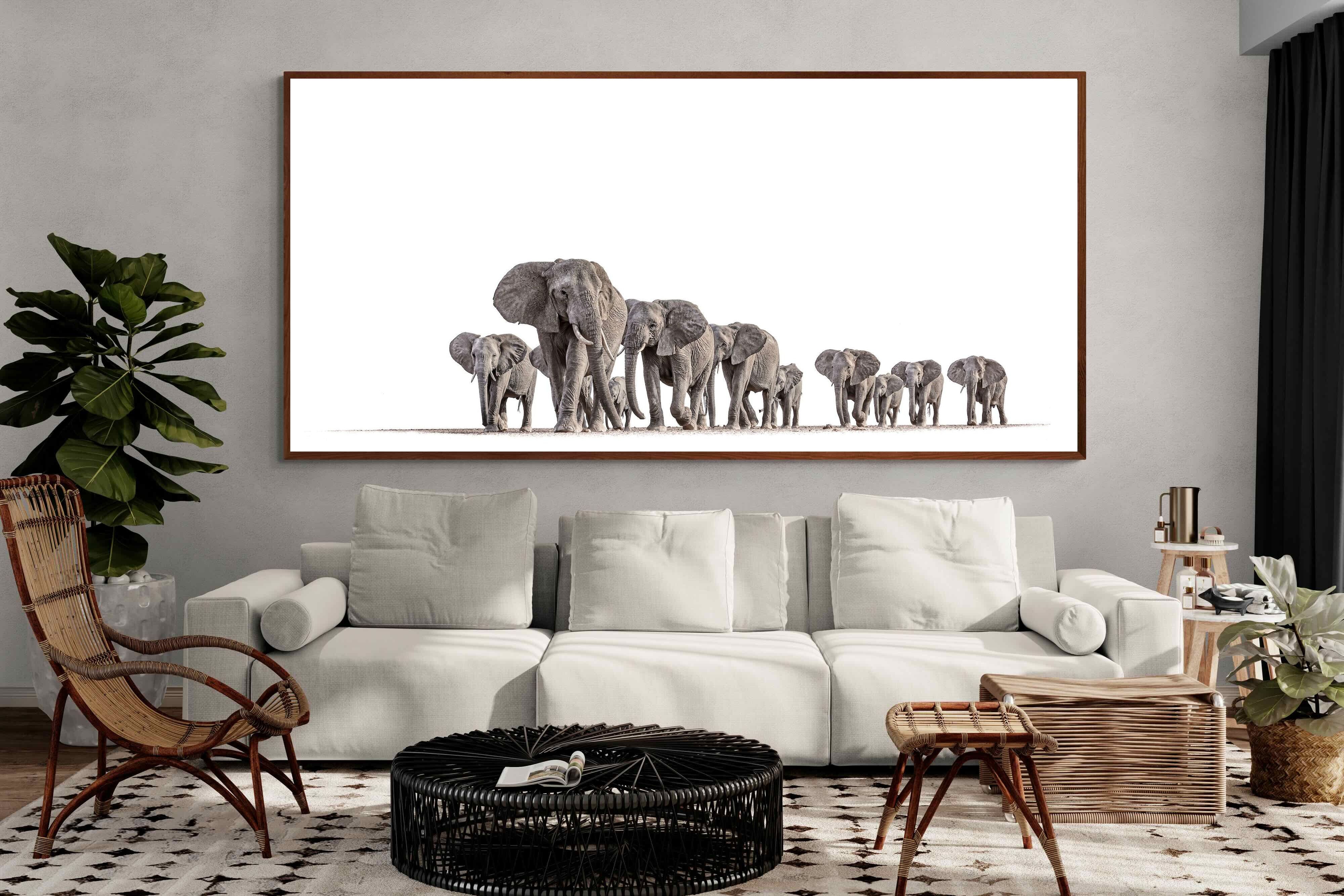 Pixalot ® Elephant Convoy (high key)