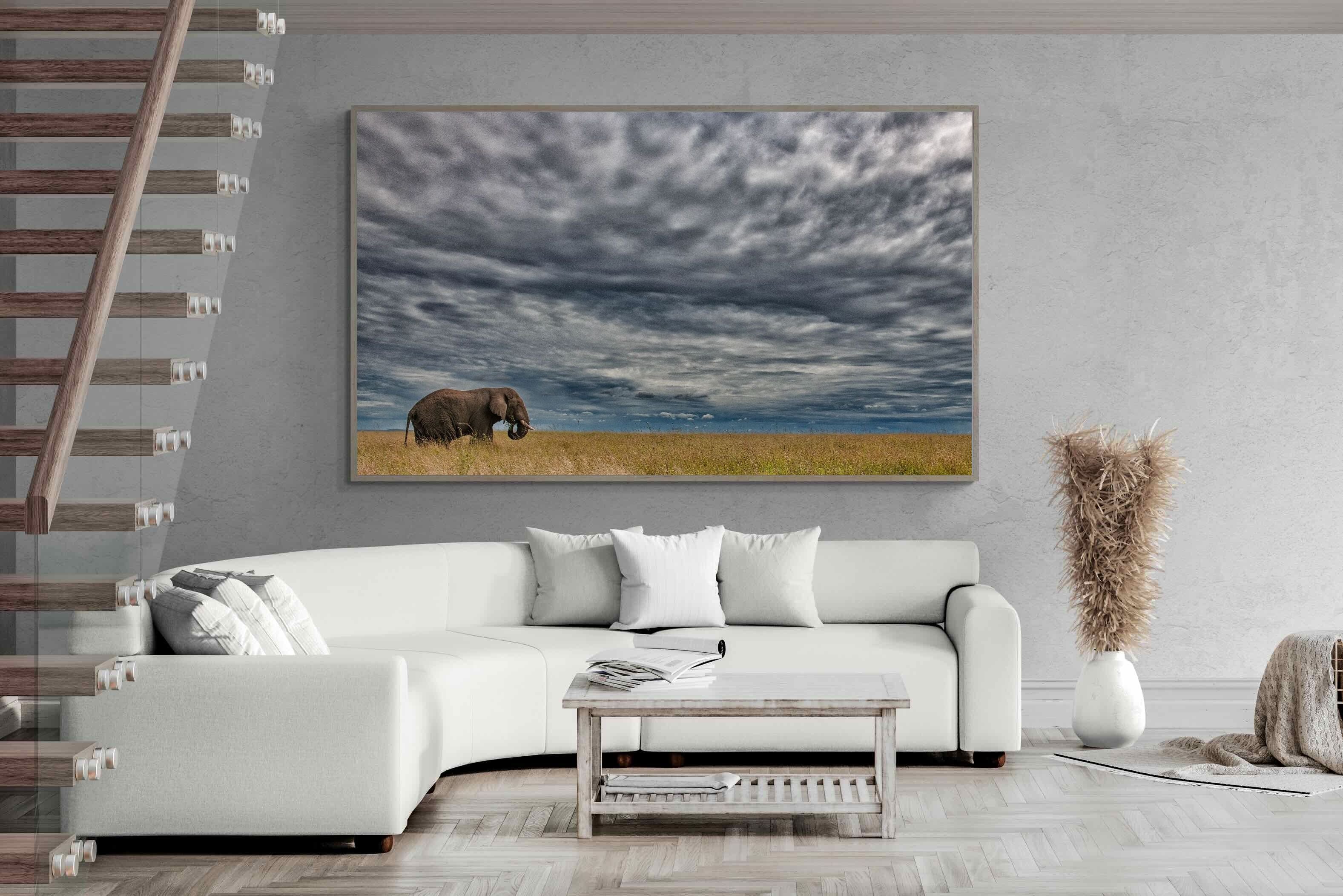 Pixalot Elephant Horizon
