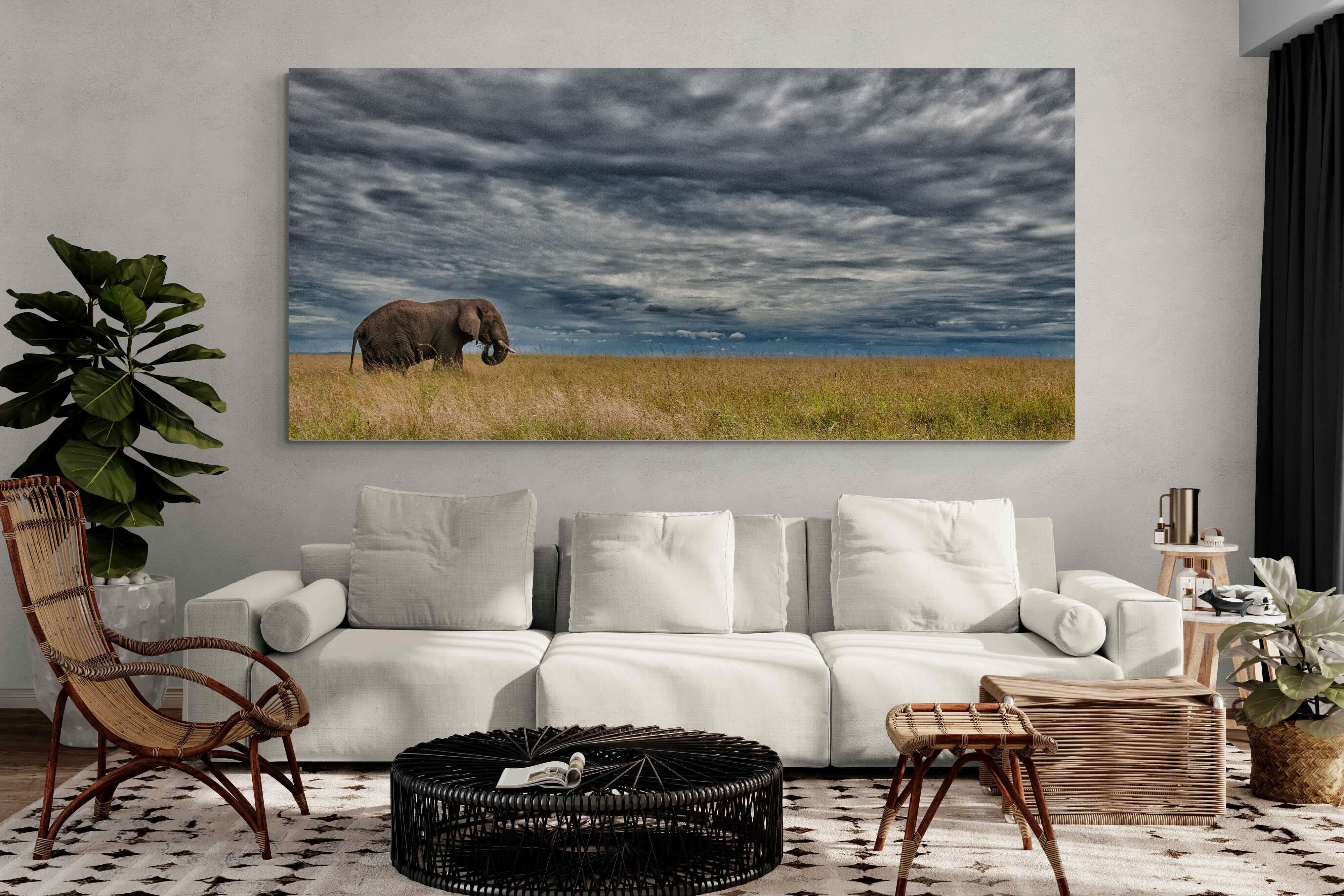 Pixalot Elephant Horizon