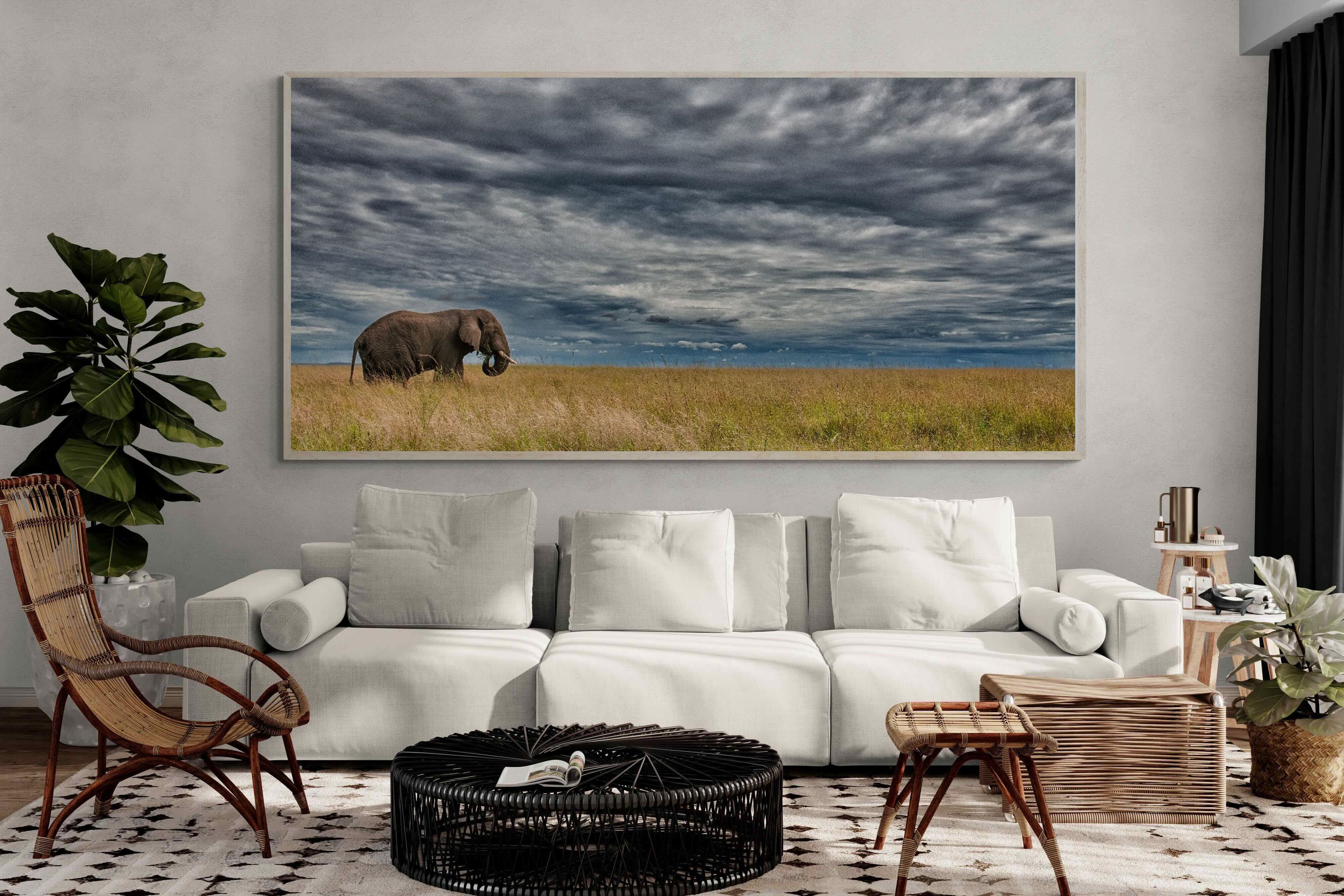 Pixalot Elephant Horizon