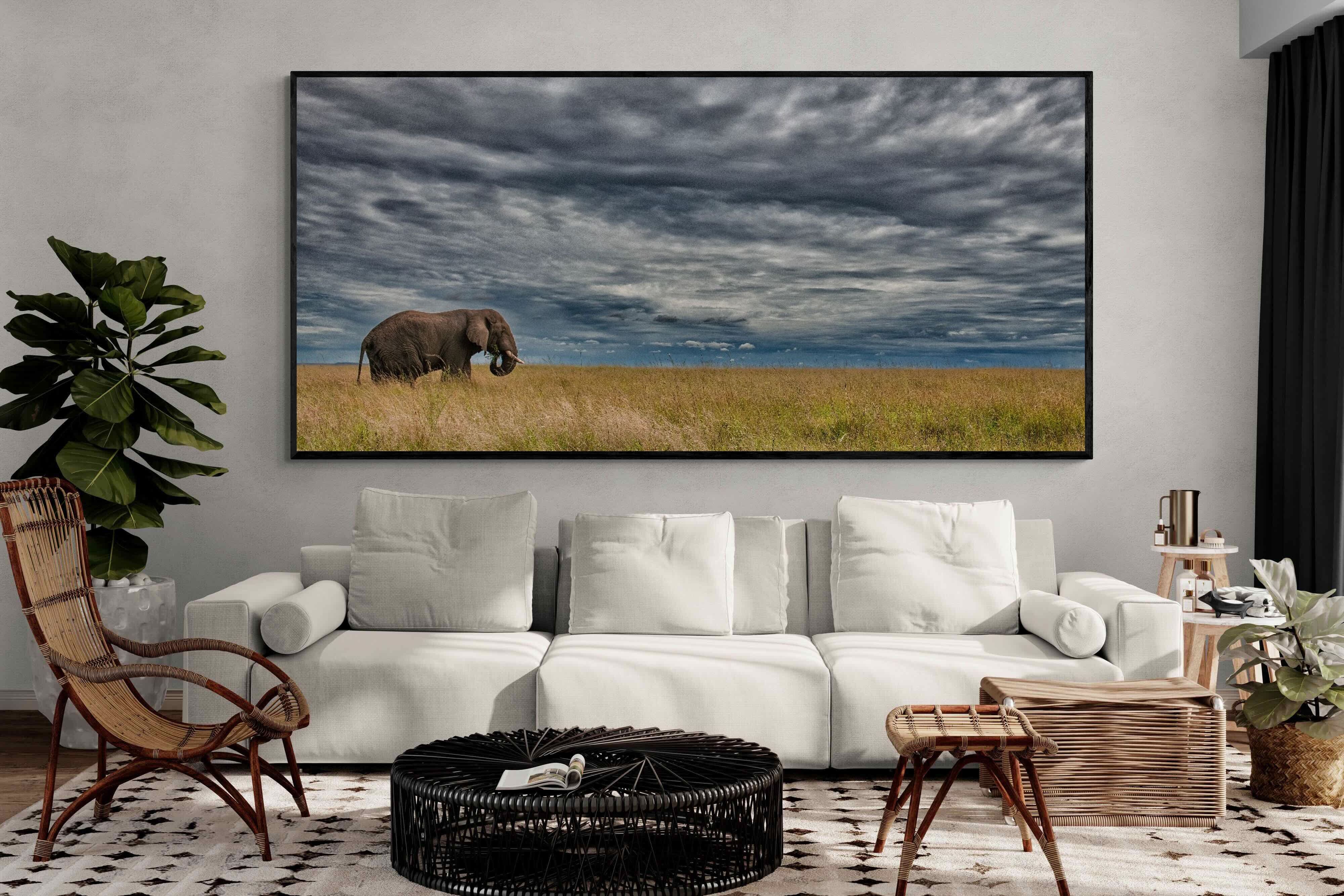 Pixalot Elephant Horizon