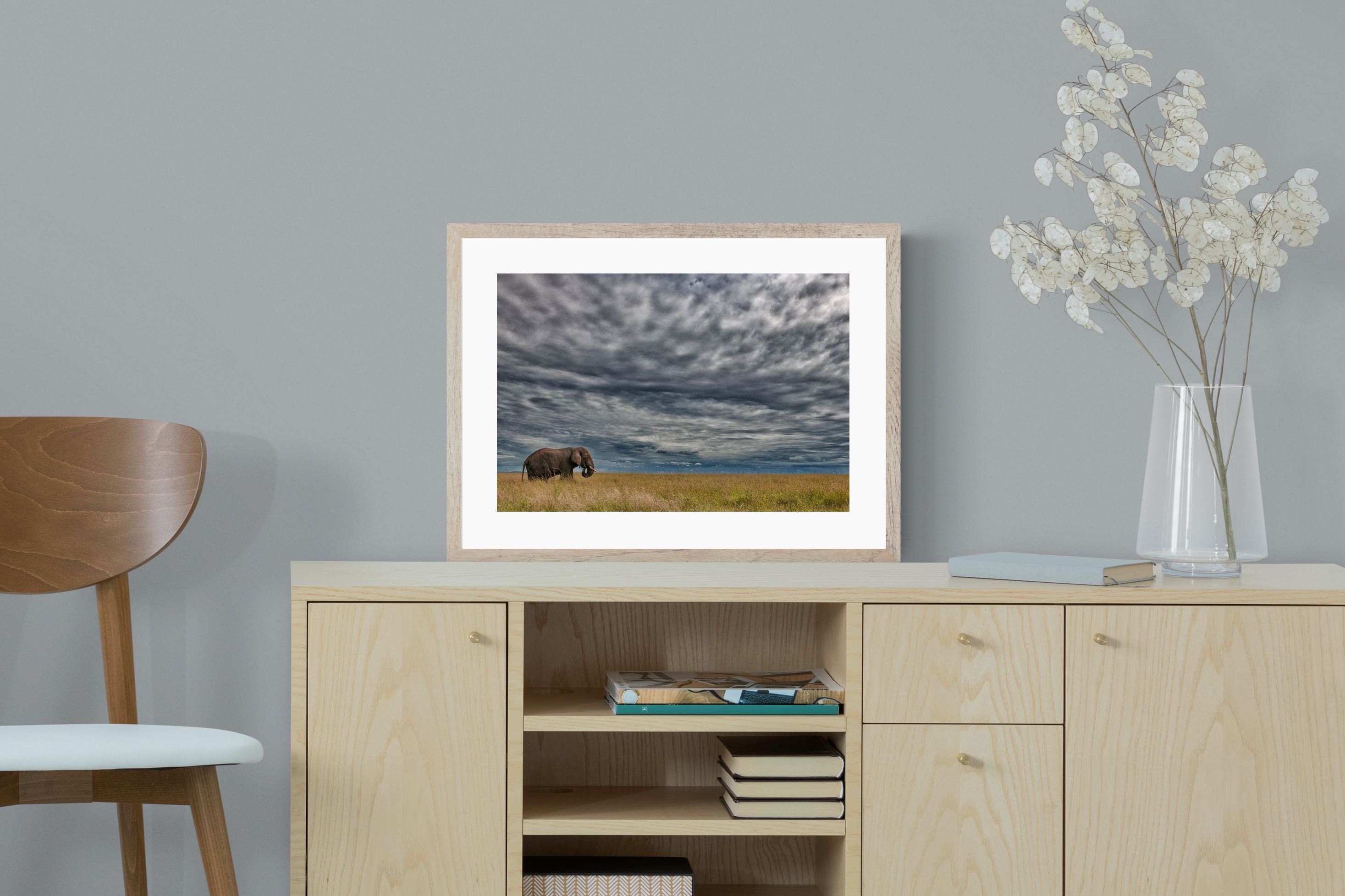 Pixalot Elephant Horizon