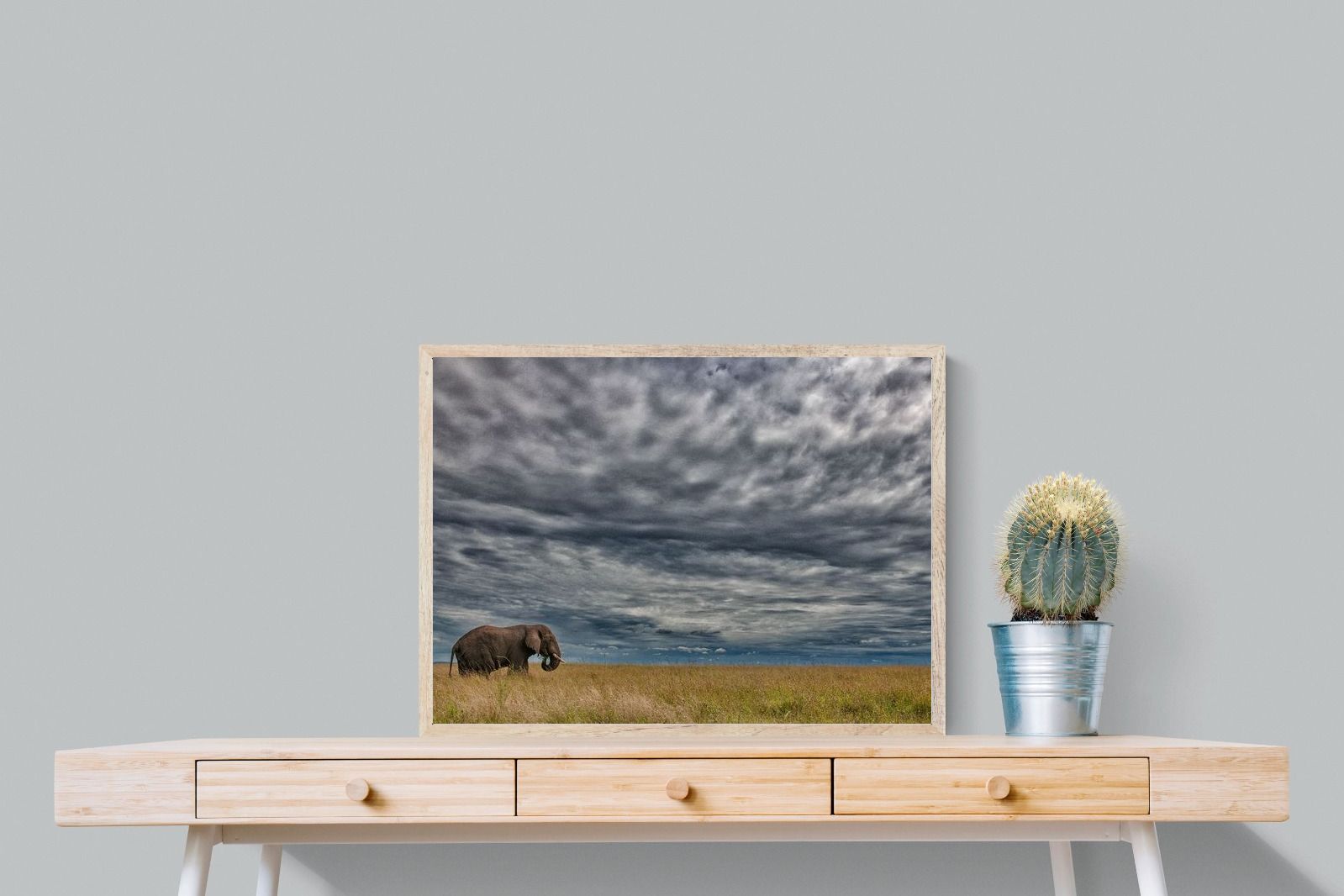 Pixalot Elephant Horizon