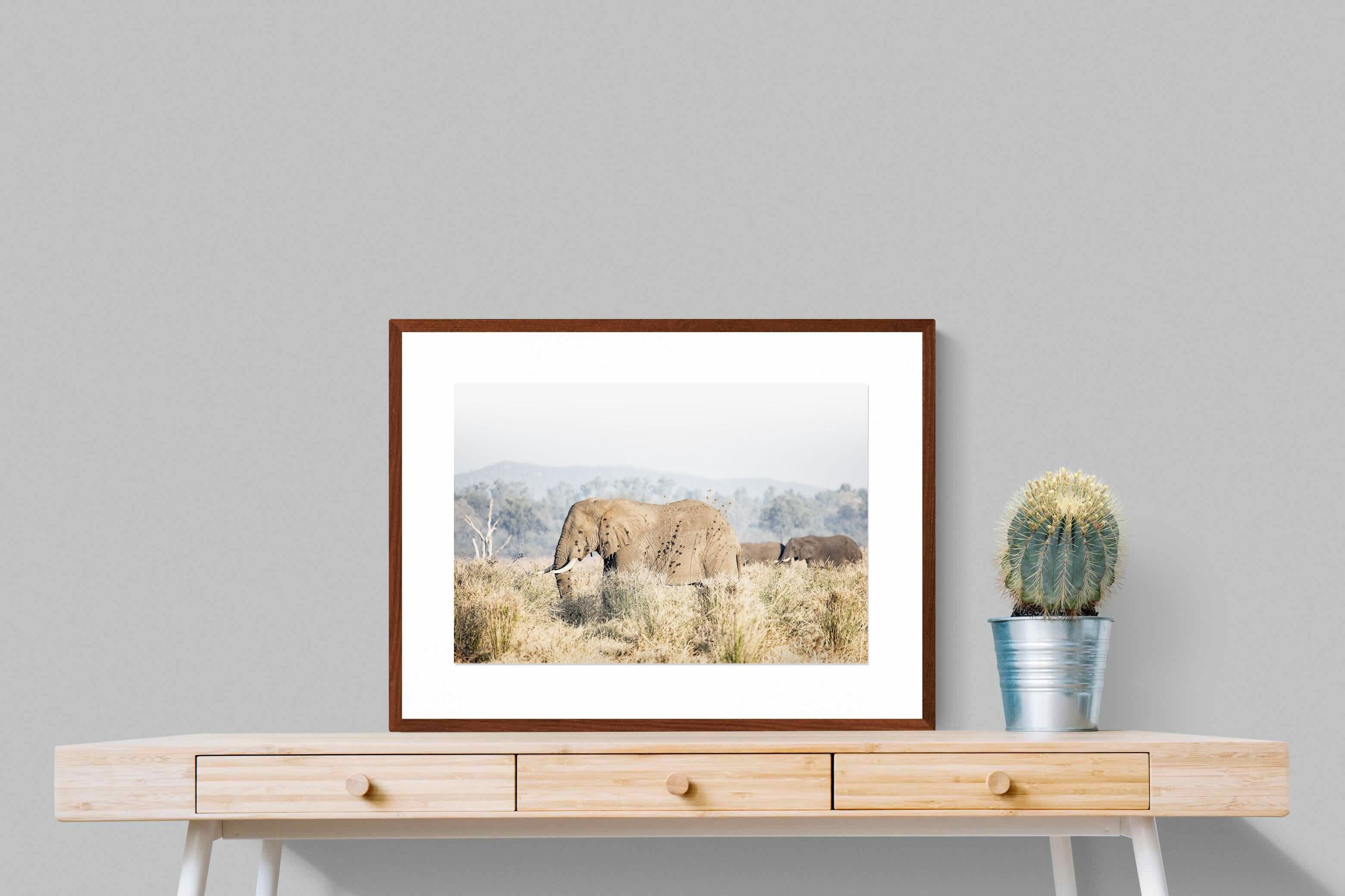 Pixalot Elephant in Leonotis