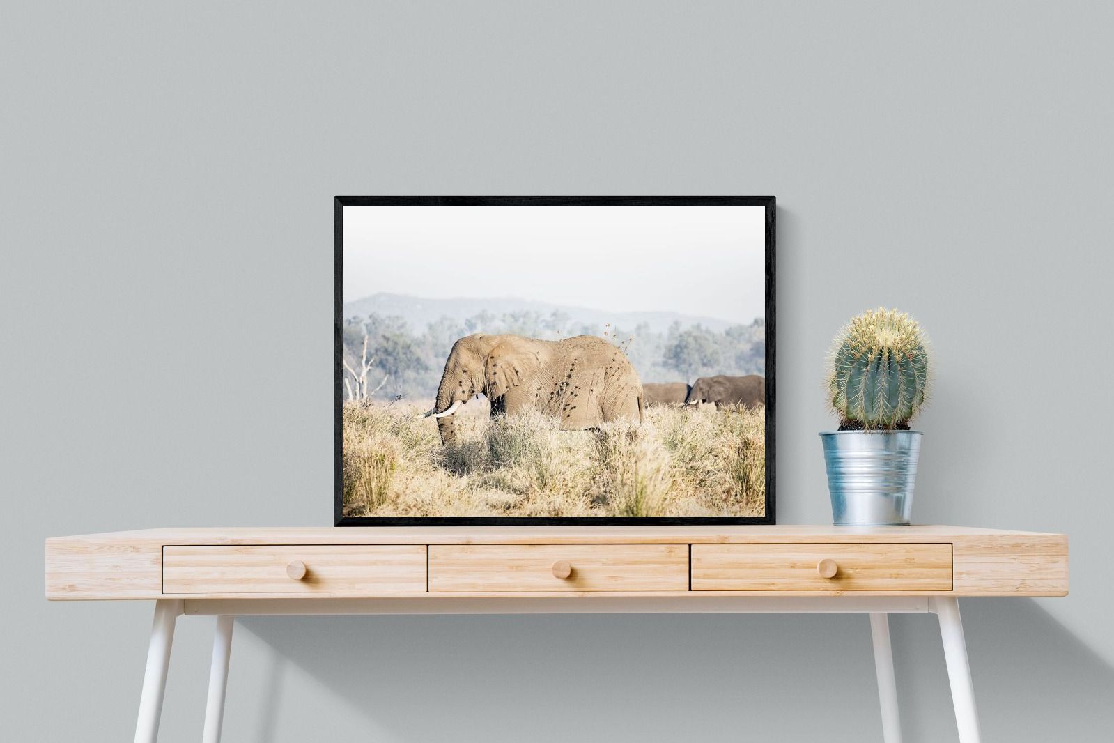 Pixalot Elephant in Leonotis