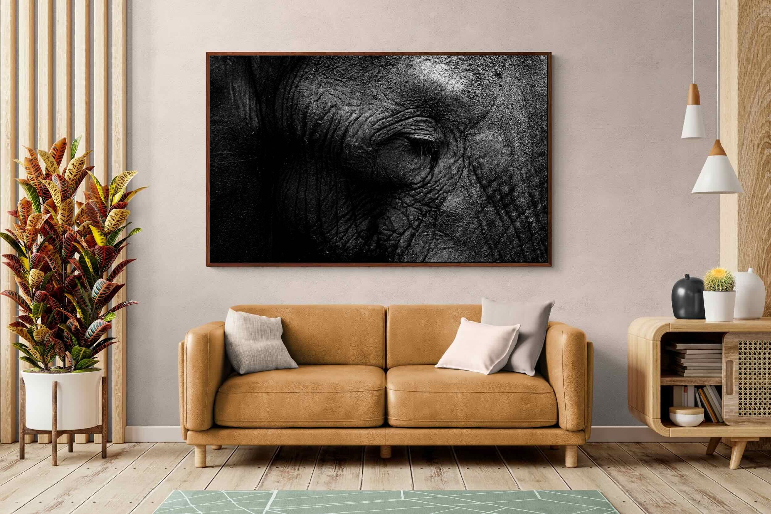 Pixalot ® Elephant Skin