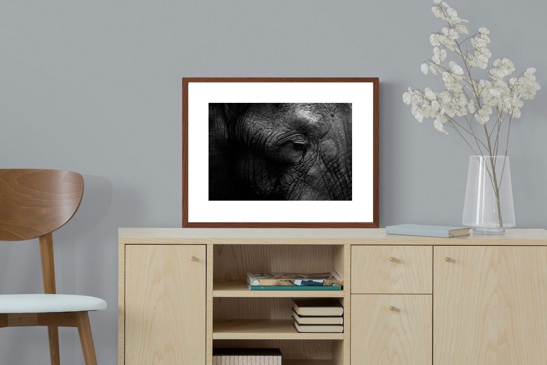 Pixalot ® Elephant Skin