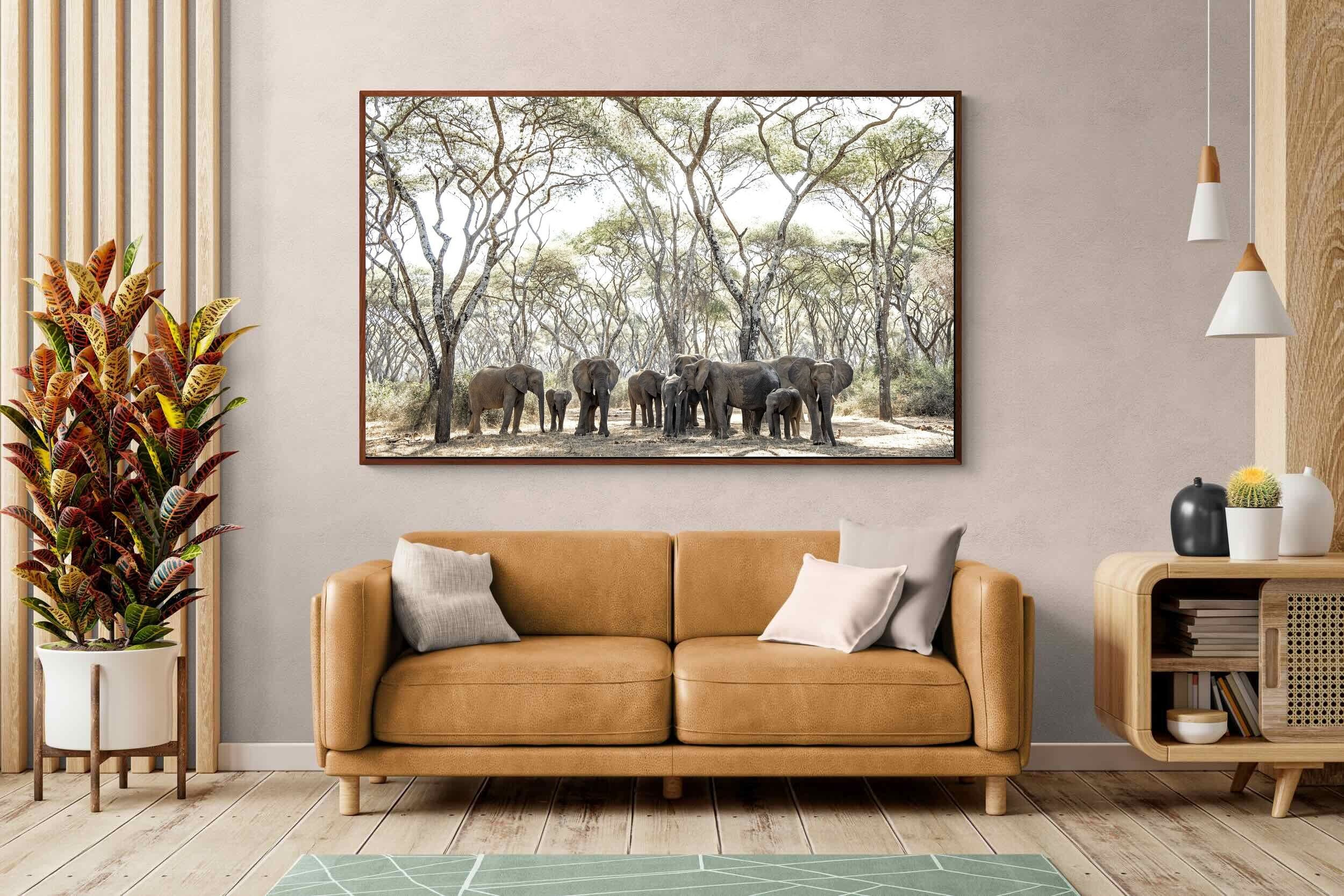 Pixalot Elephants Under Umbrellas