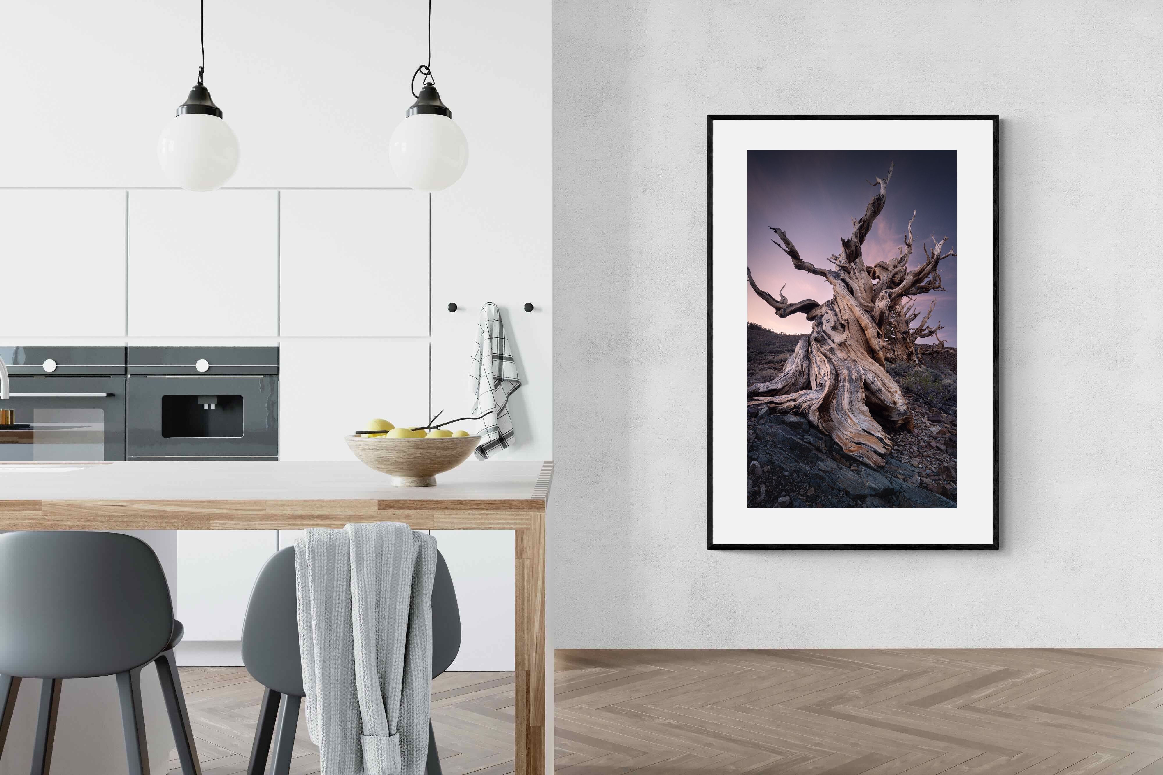 Pixalot Eternal Grain