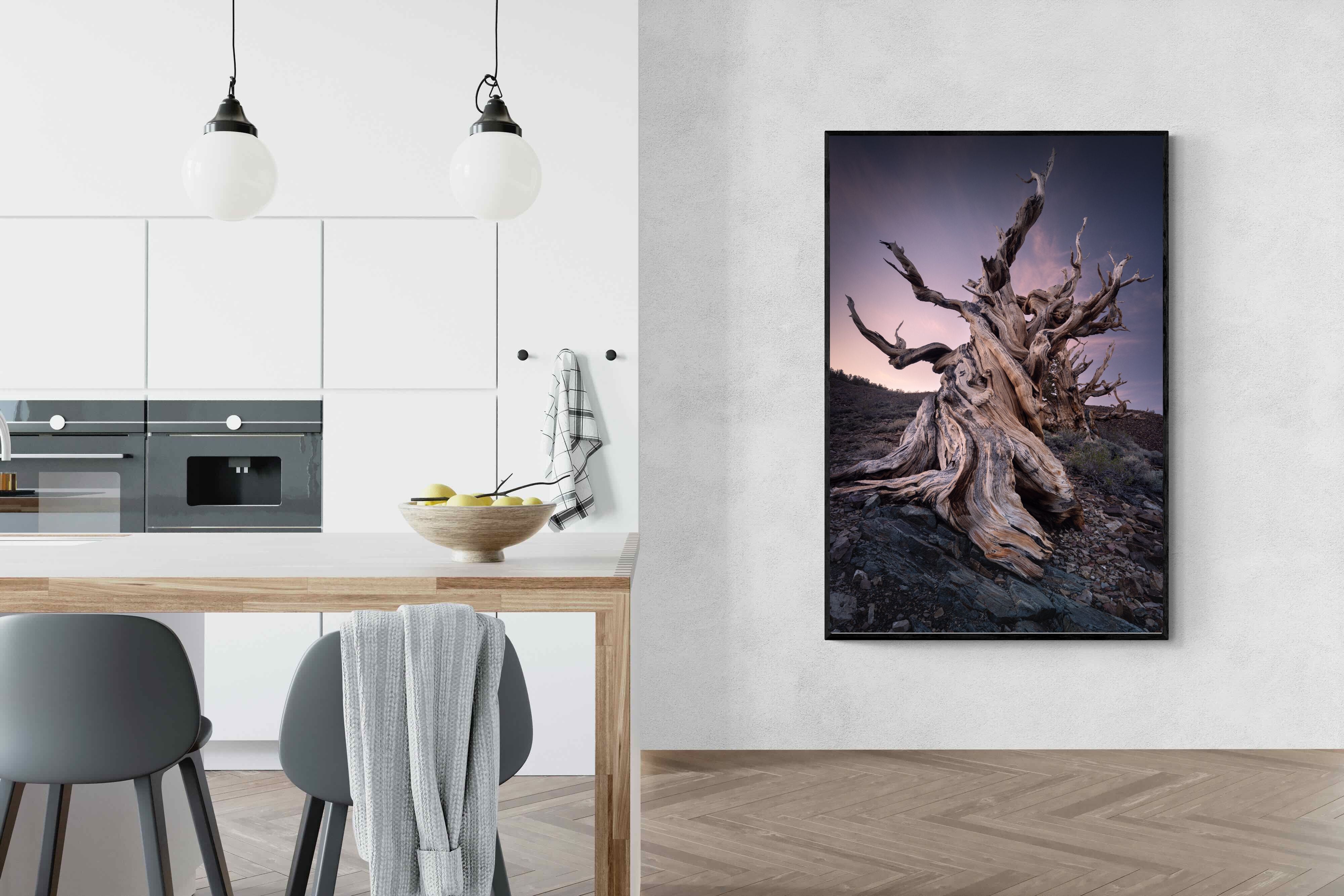 Pixalot Eternal Grain