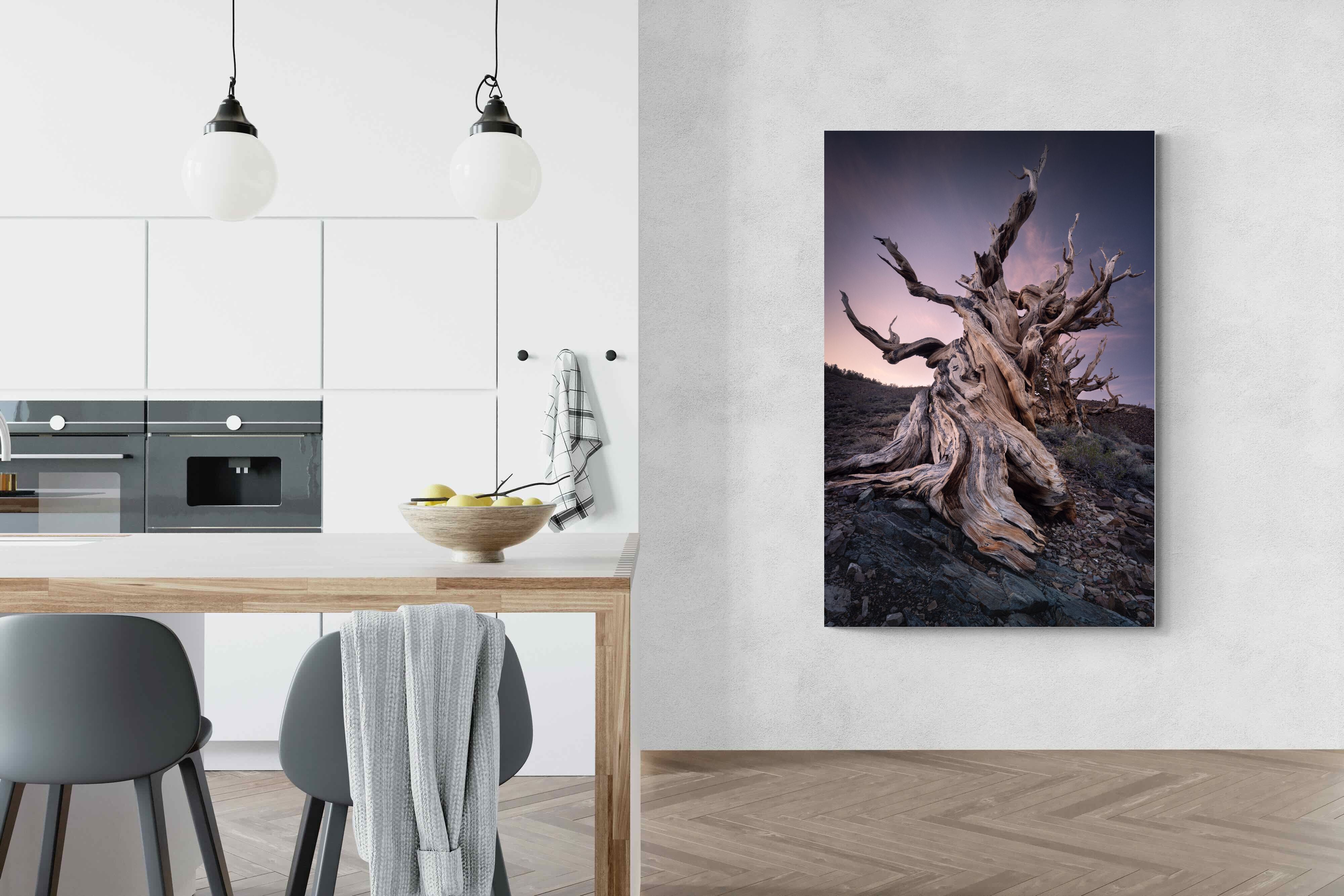 Pixalot Eternal Grain