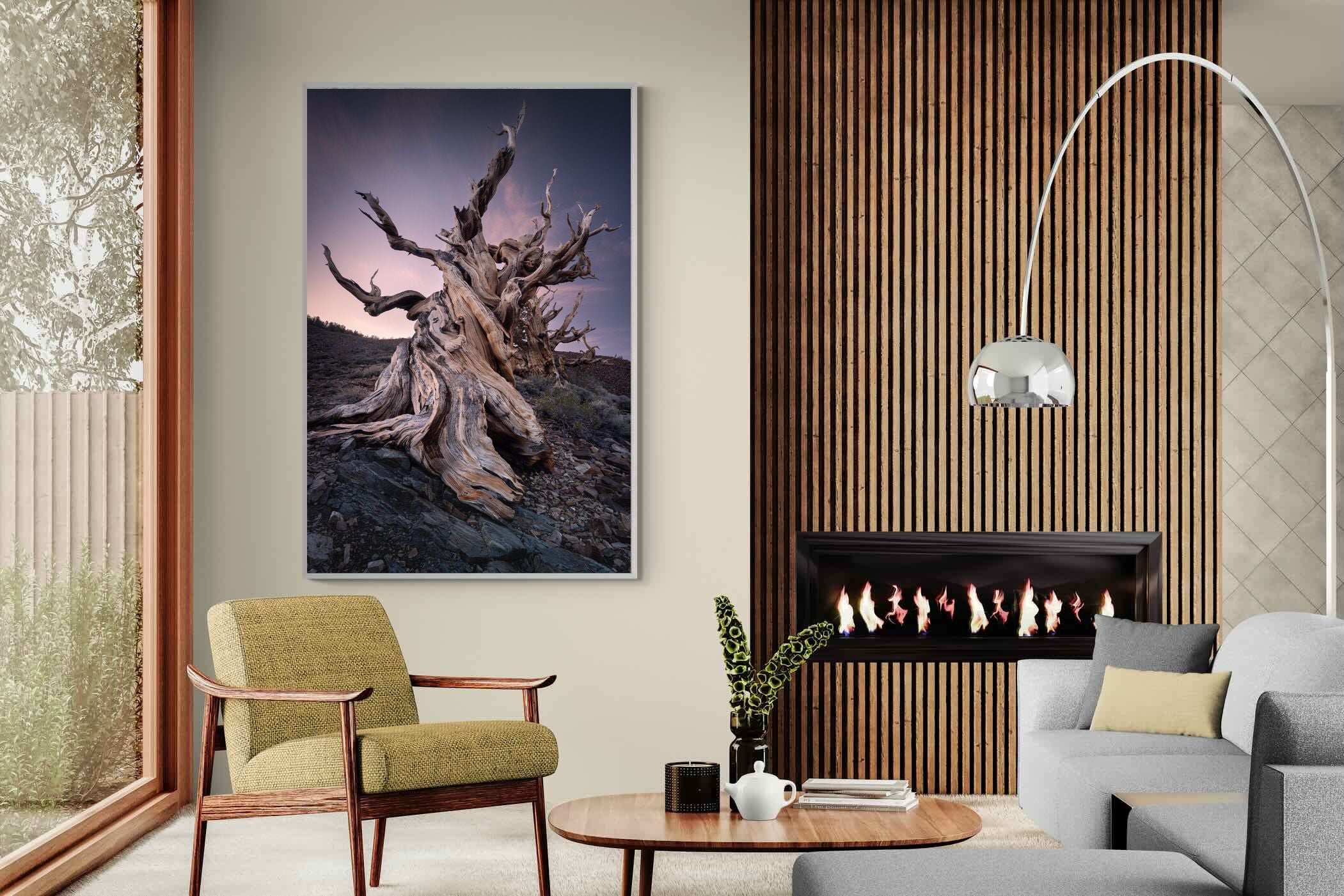 Pixalot Eternal Grain