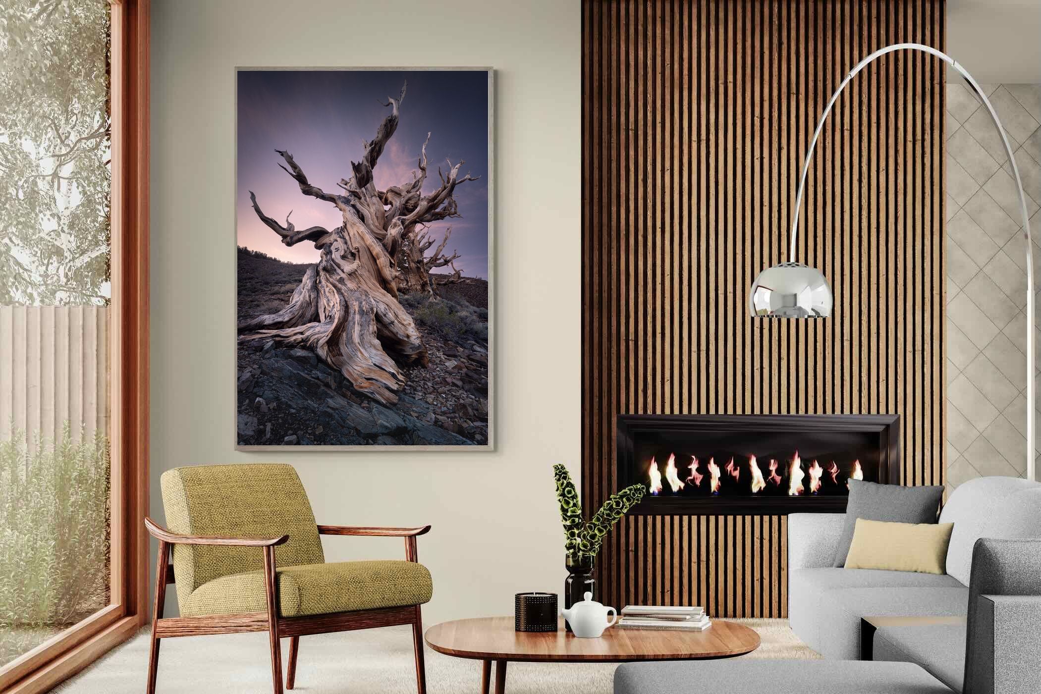 Pixalot Eternal Grain