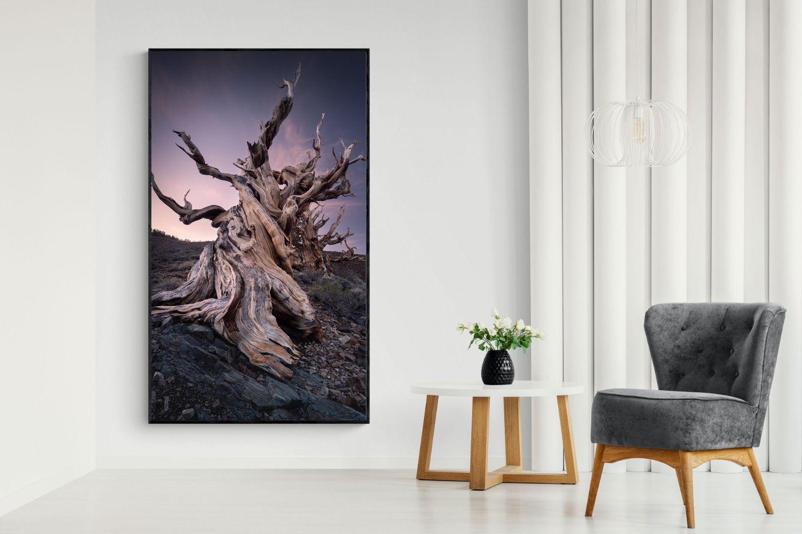 Pixalot Eternal Grain